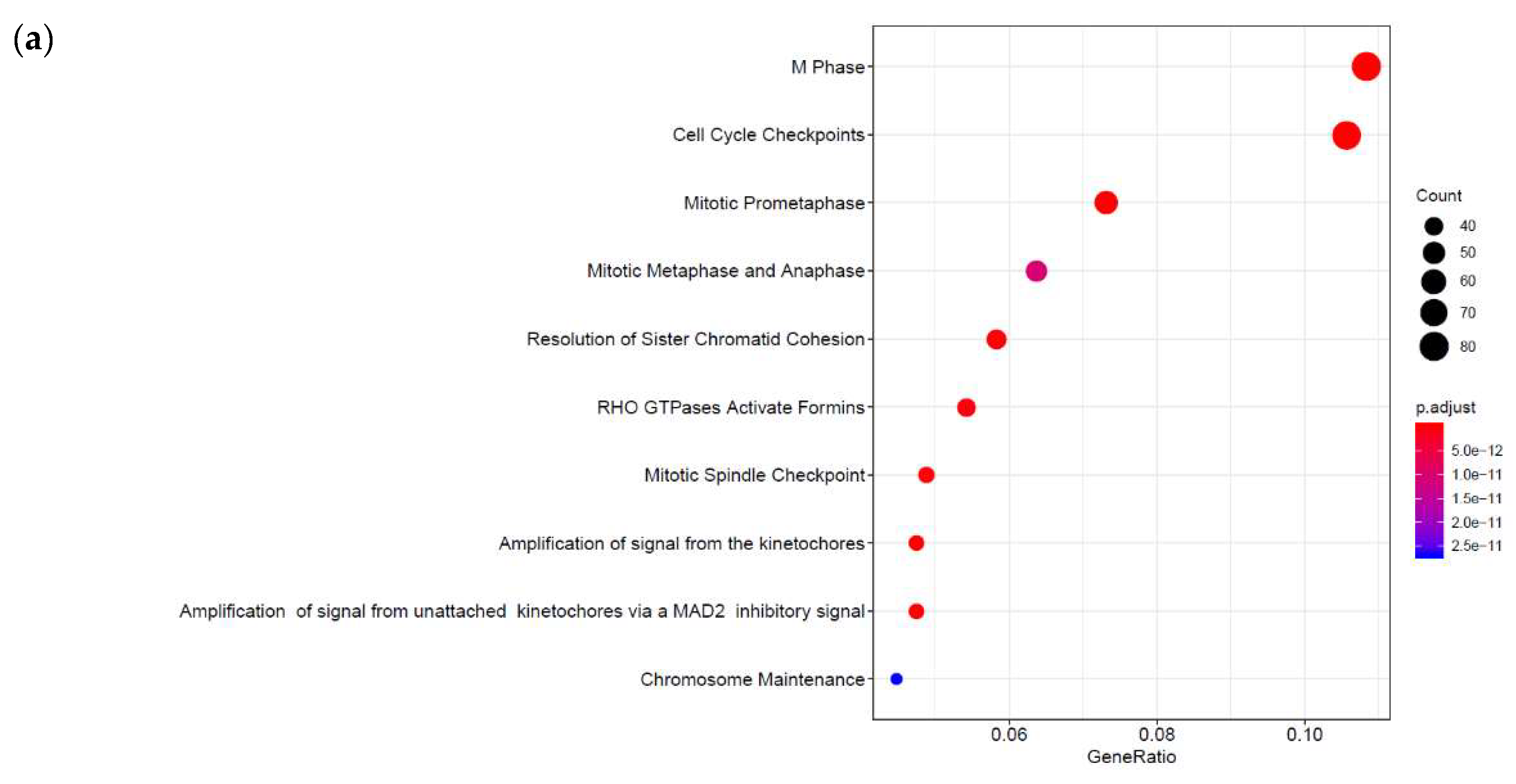 Cells 08 01253 g002a