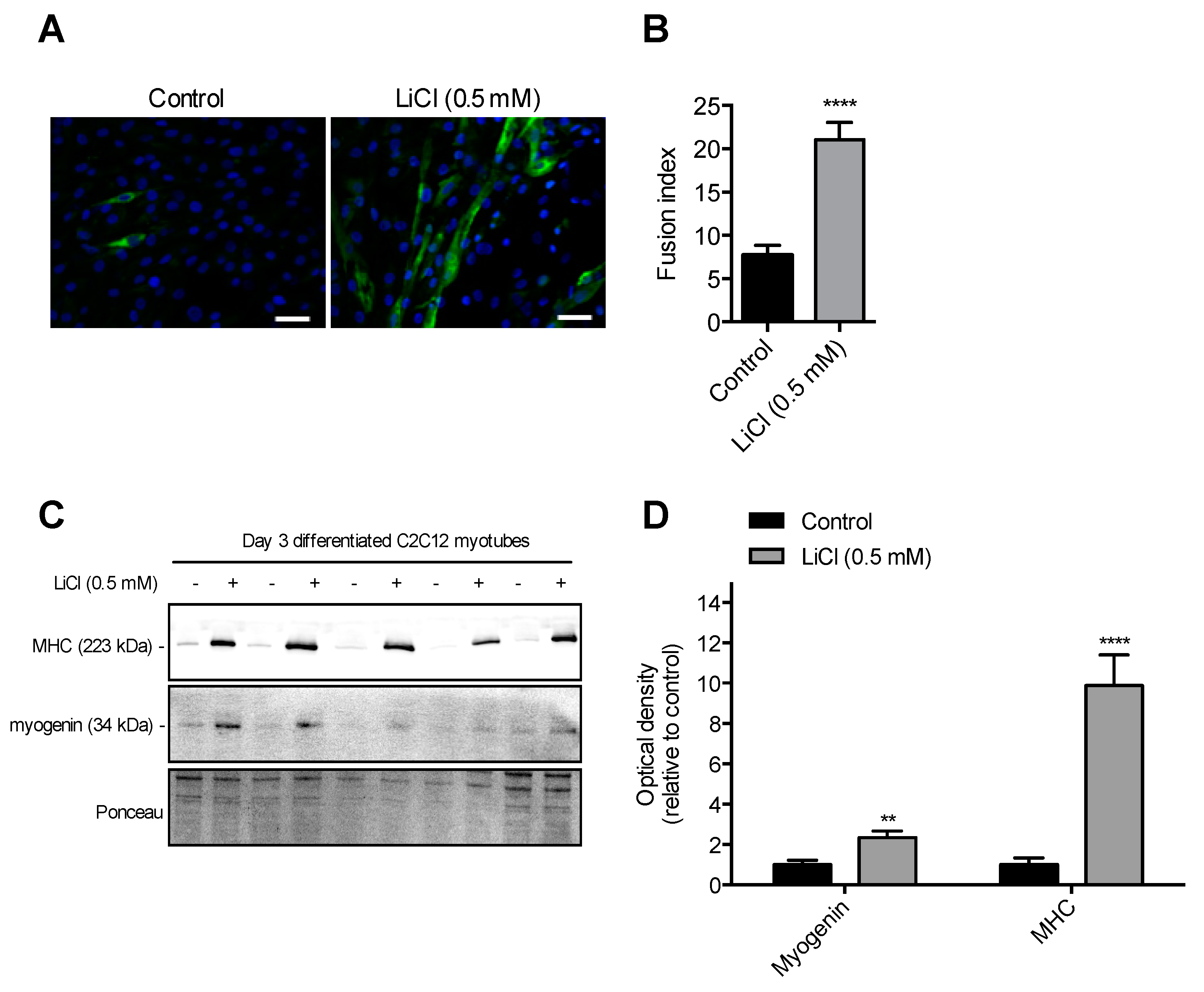 Cells 08 01340 g002 Cells 08 01340 g002
