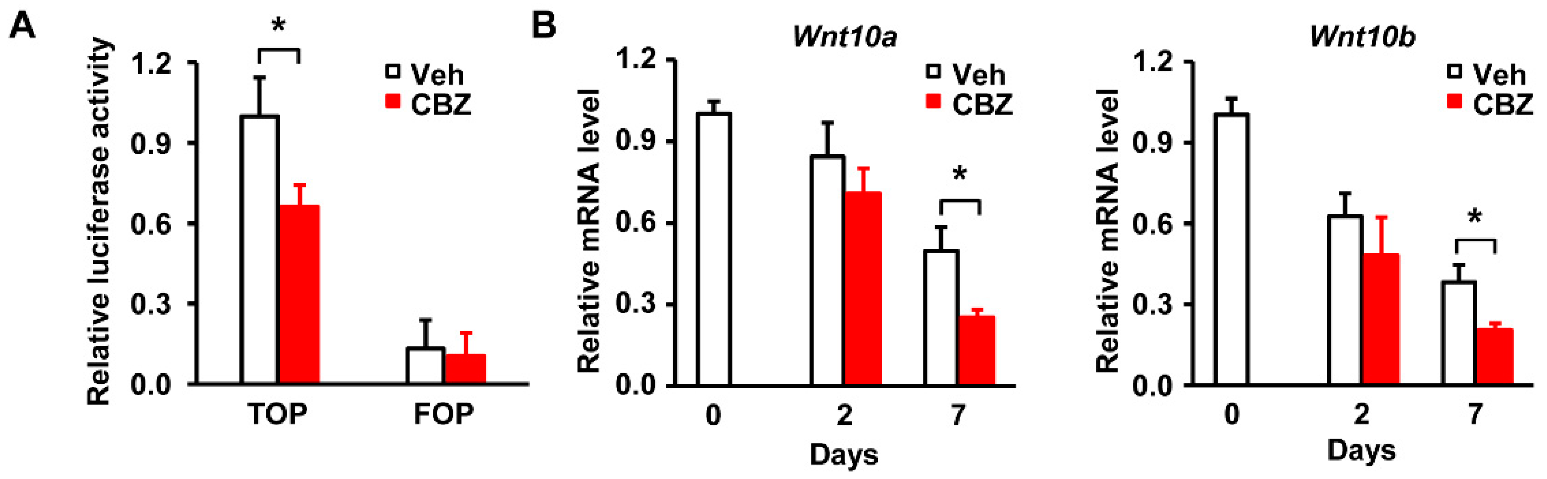 Cells 08 01460 g006 Cells 08 01460 g006