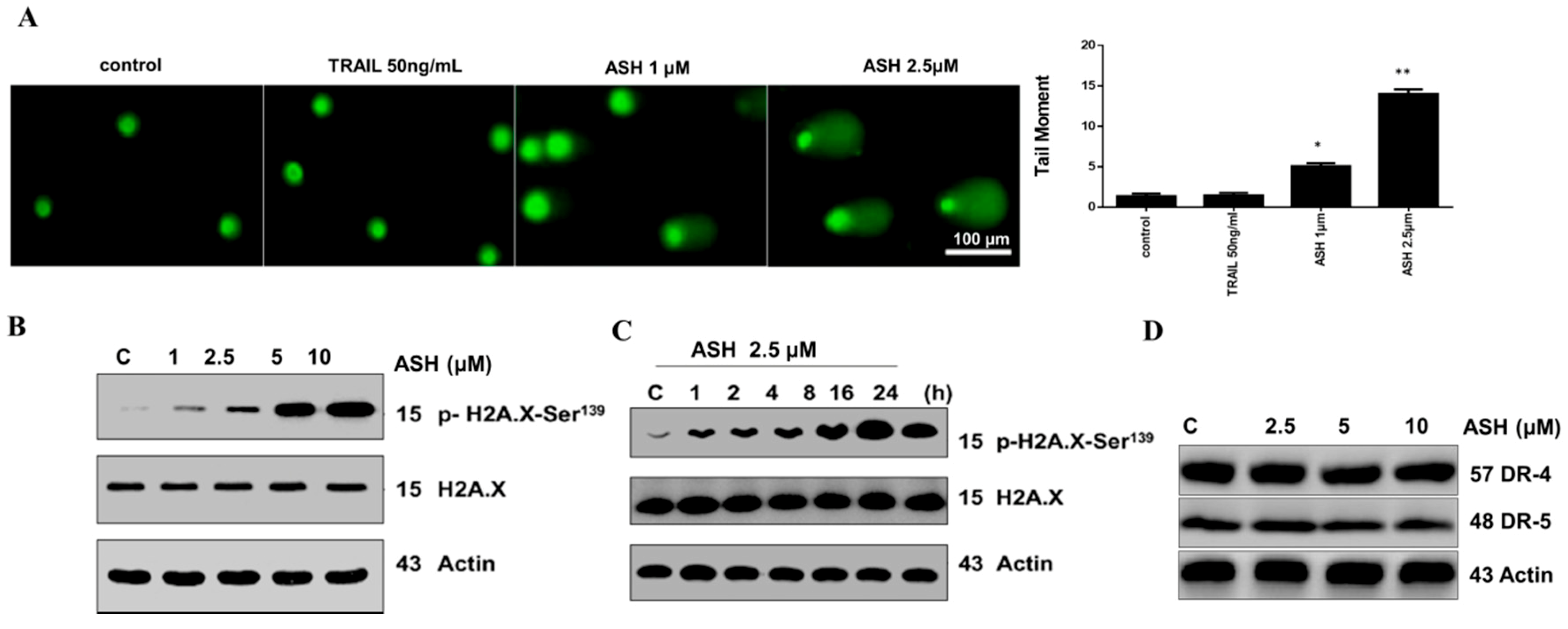 Cells 08 01466 g005 Cells 08 01466 g005