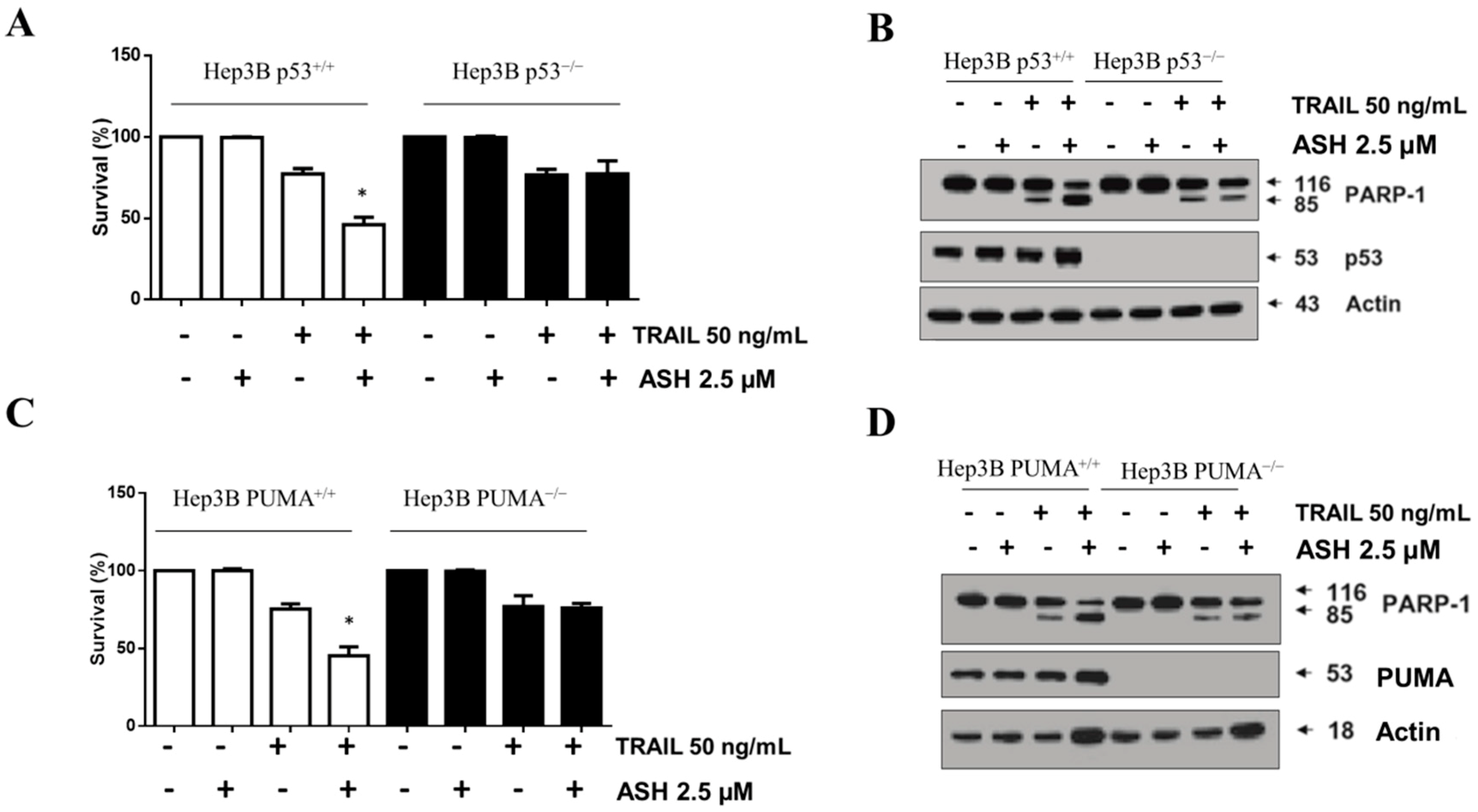 Cells 08 01466 g007 Cells 08 01466 g007