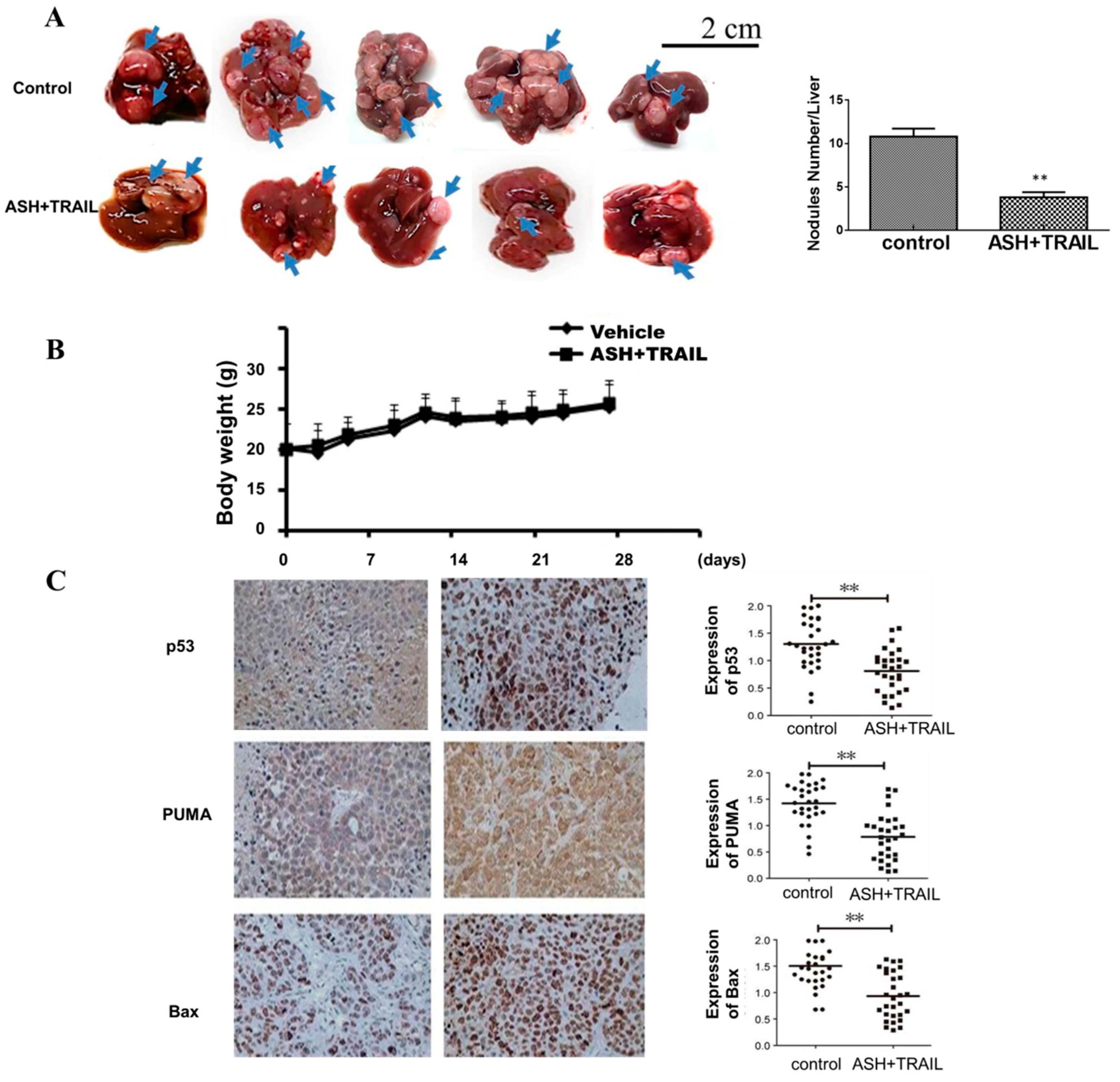 Cells 08 01466 g009 Cells 08 01466 g009