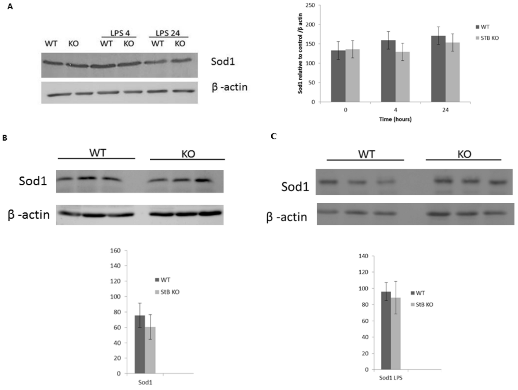 Cells Free Full Text Upregulation Of Mitochondrial Redox