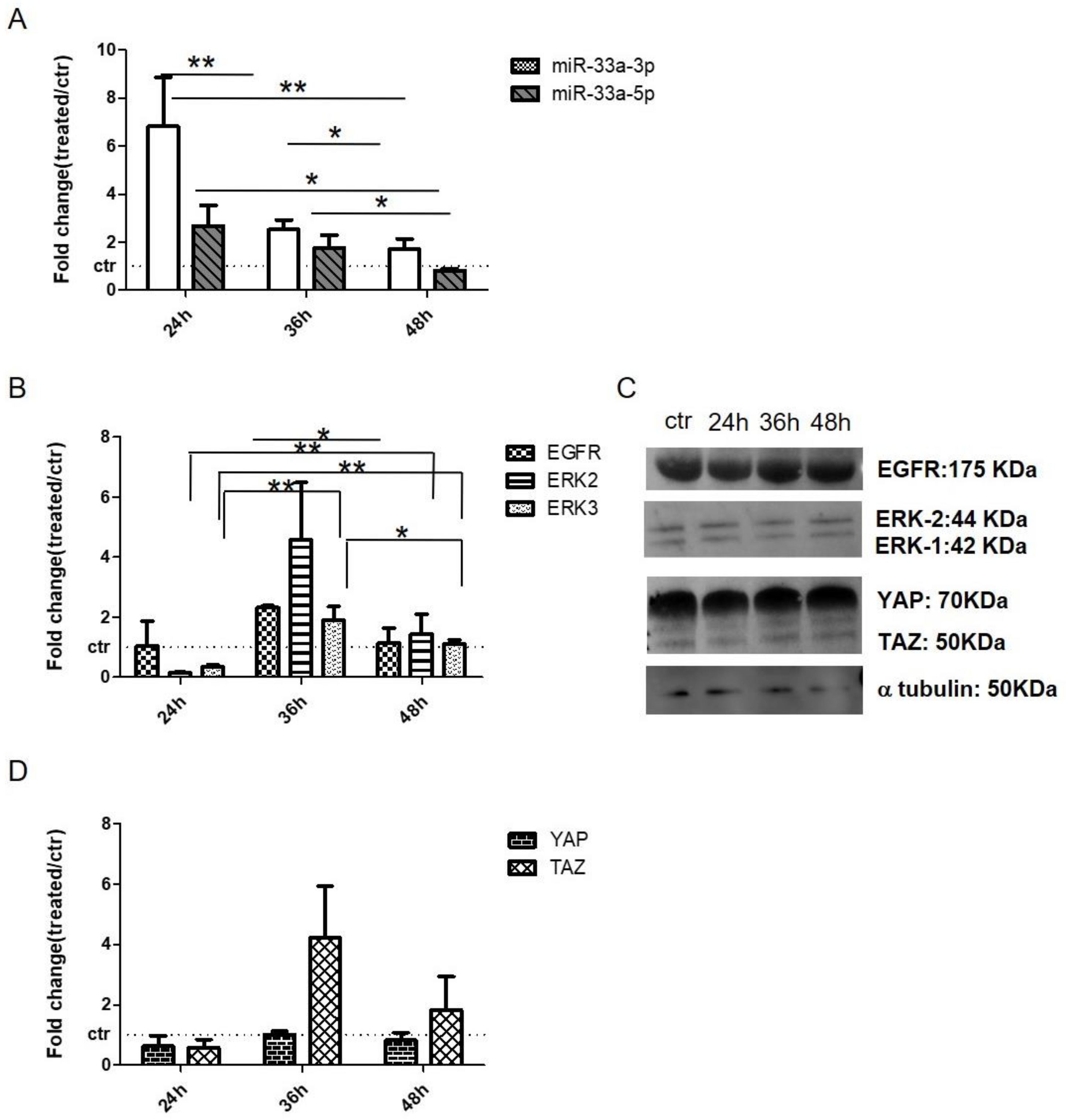 Cells 08 01495 g006 Cells 08 01495 g006