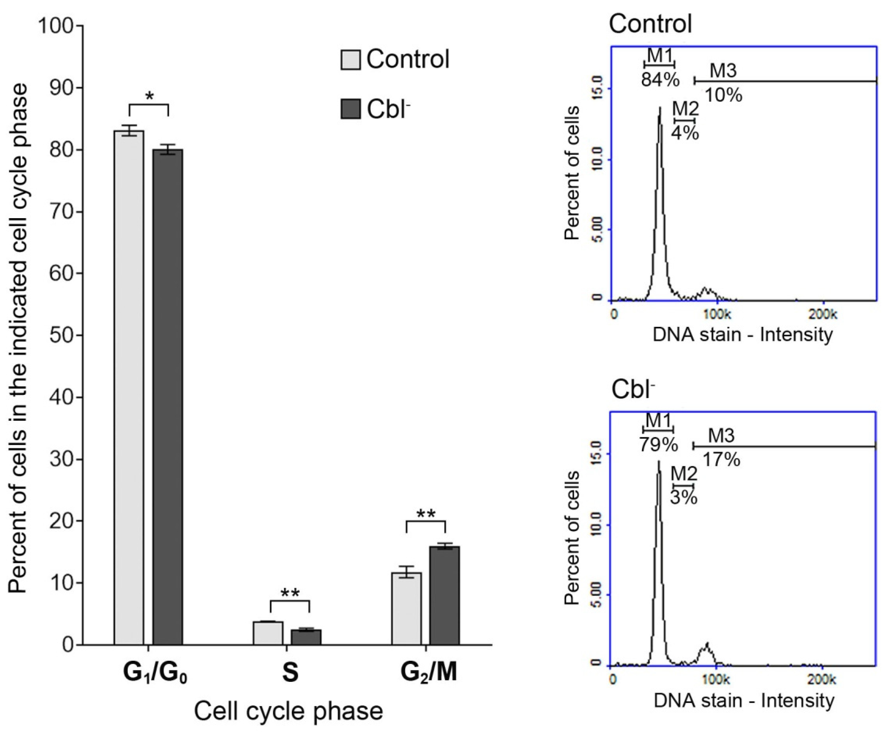 Cells 08 01505 g002 Cells 08 01505 g002