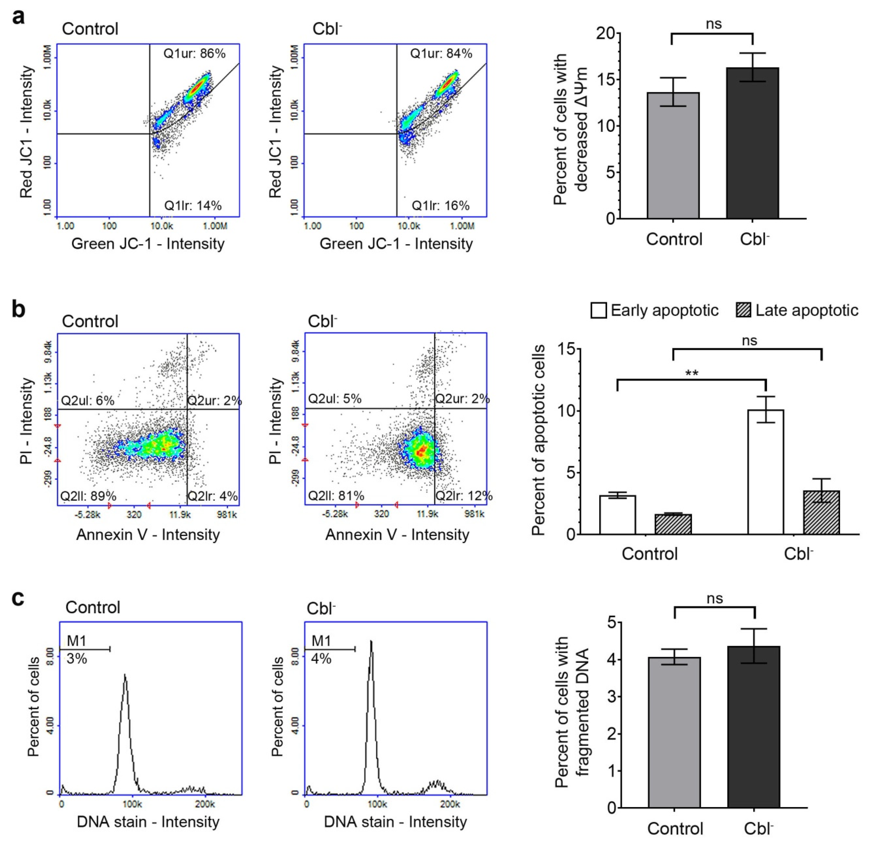 Cells 08 01505 g003 Cells 08 01505 g003