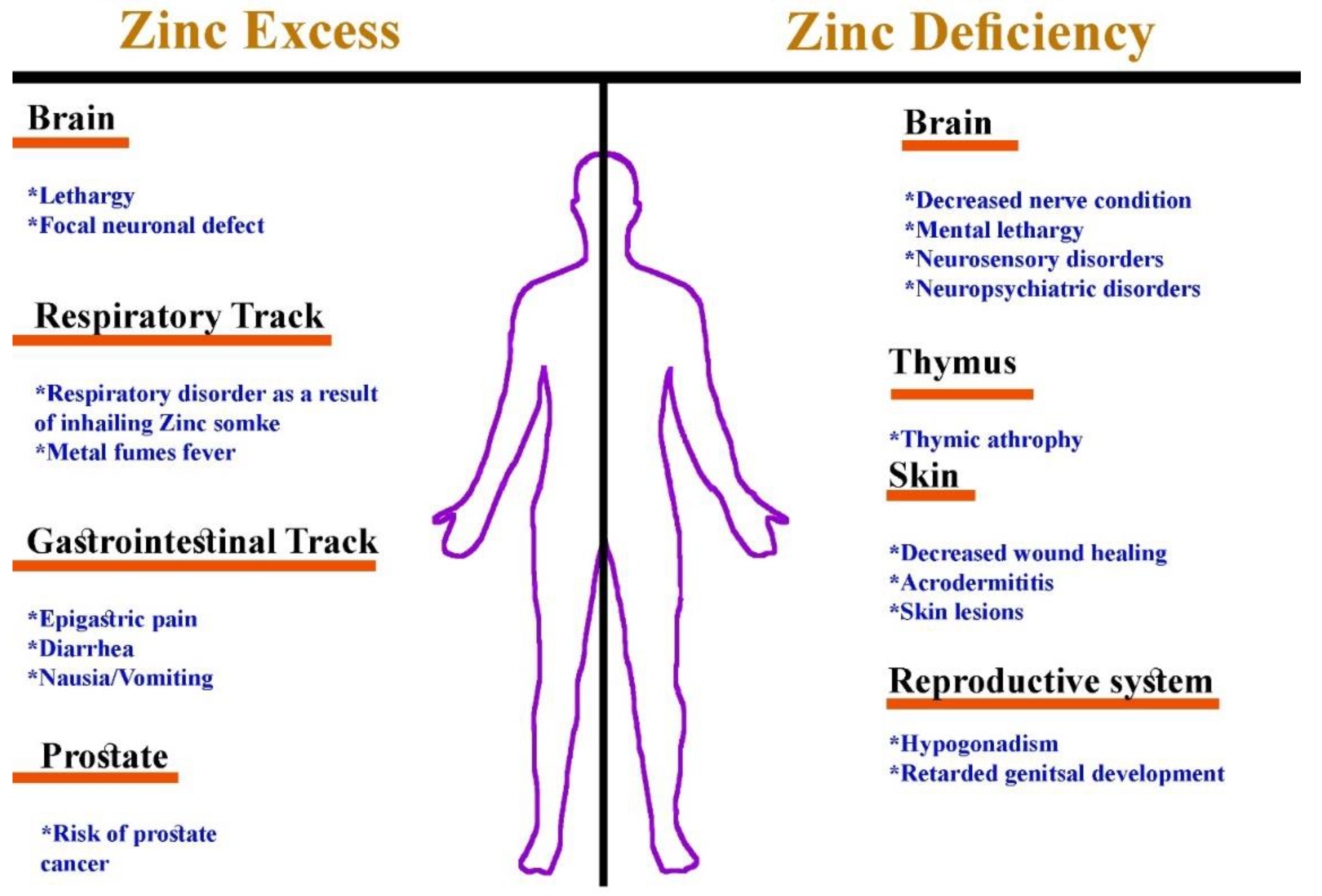 zinc deficiency acrodermatitis enteropathica