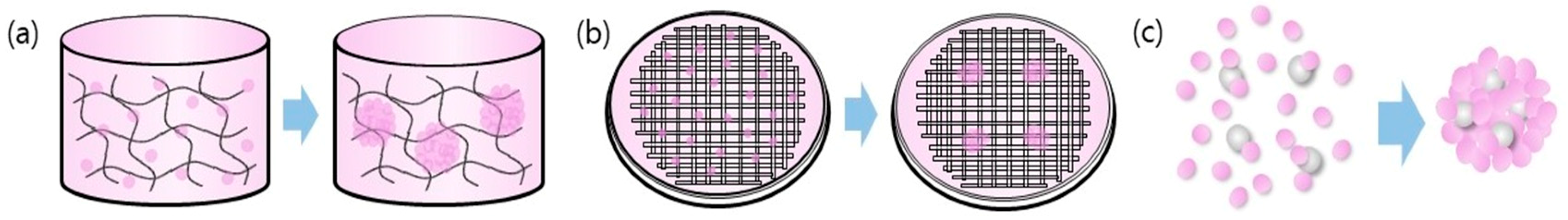 Cells Free Full Text Spheroid Culture System Methods And