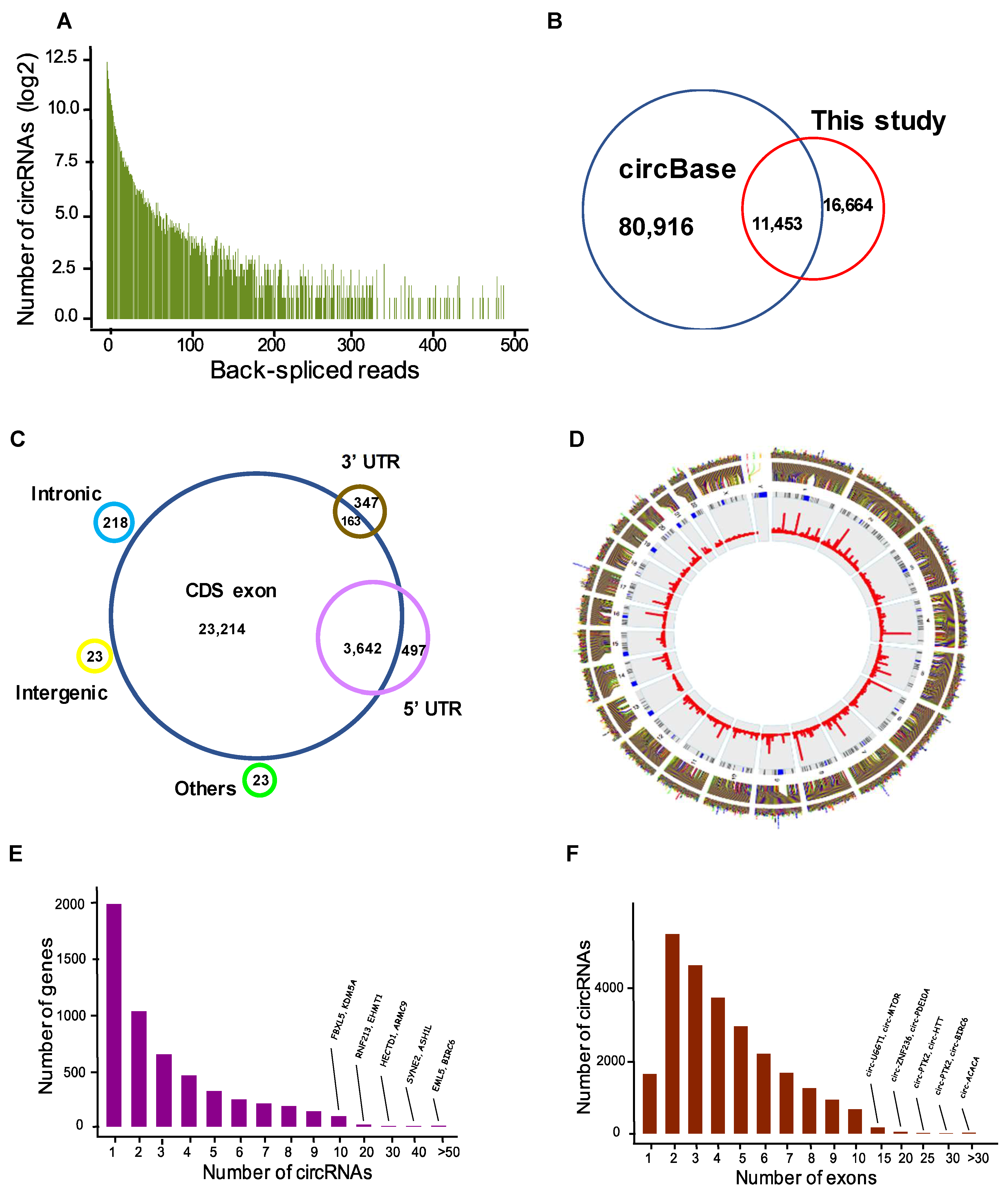 Cells 09 00025 g001 Cells 09 00025 g001