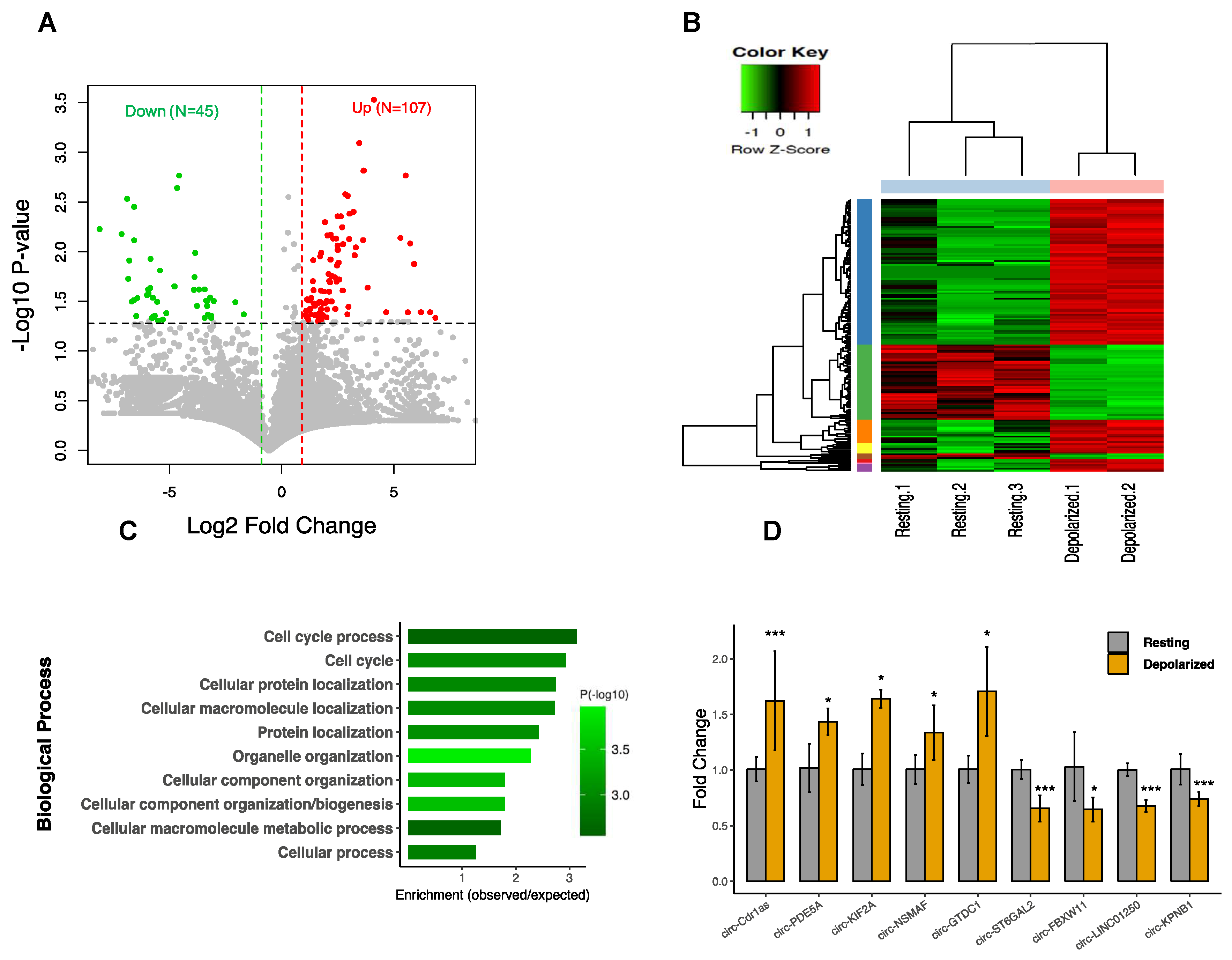 Cells 09 00025 g002 Cells 09 00025 g002