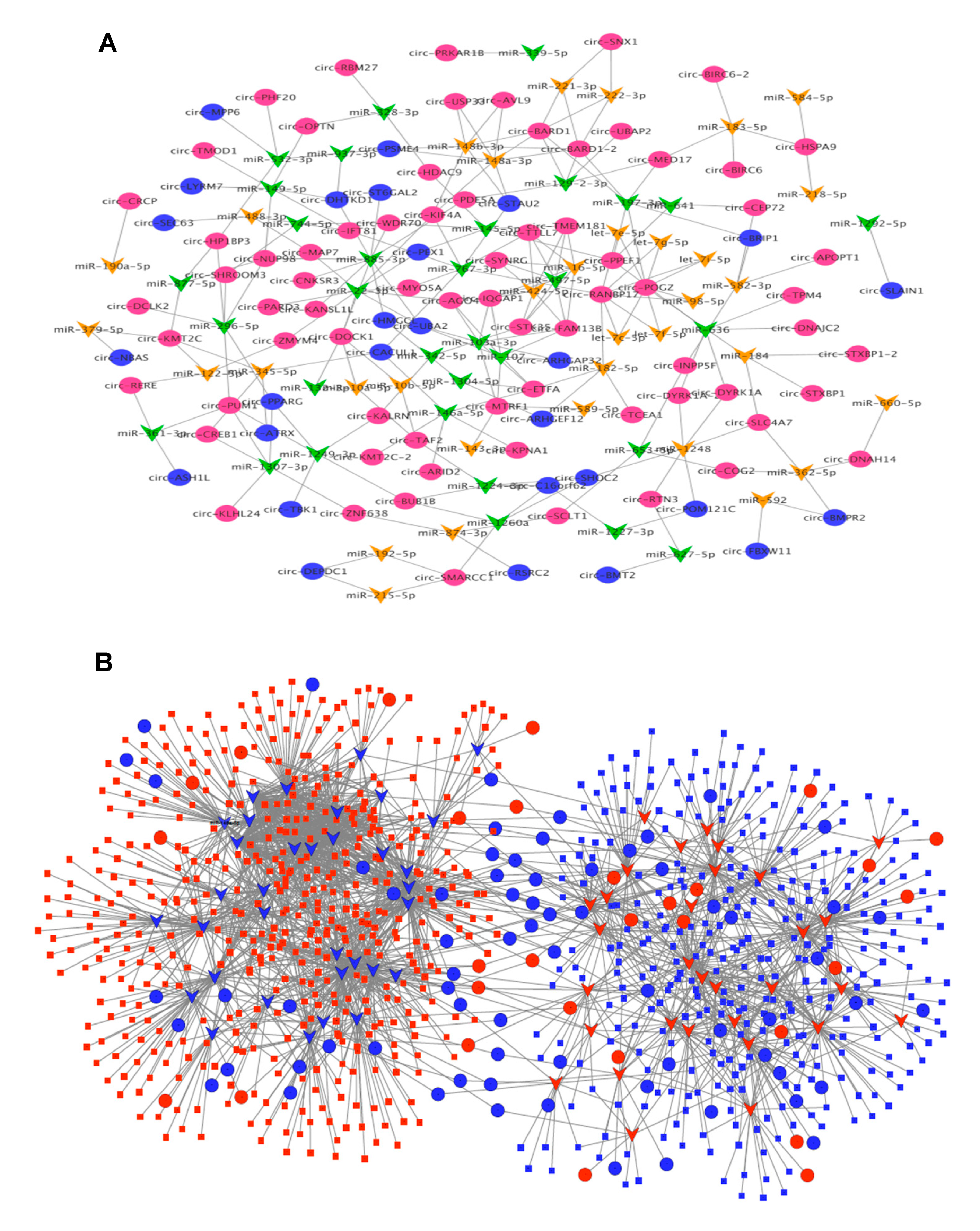 Cells 09 00025 g004 Cells 09 00025 g004