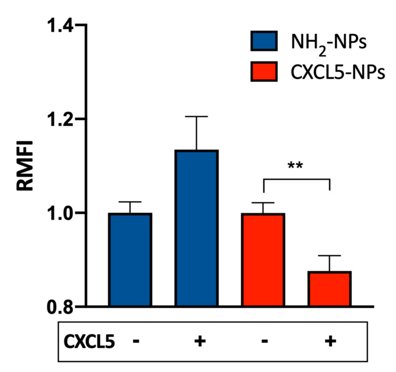 Cells 09 00056 g005 Cells 09 00056 g005