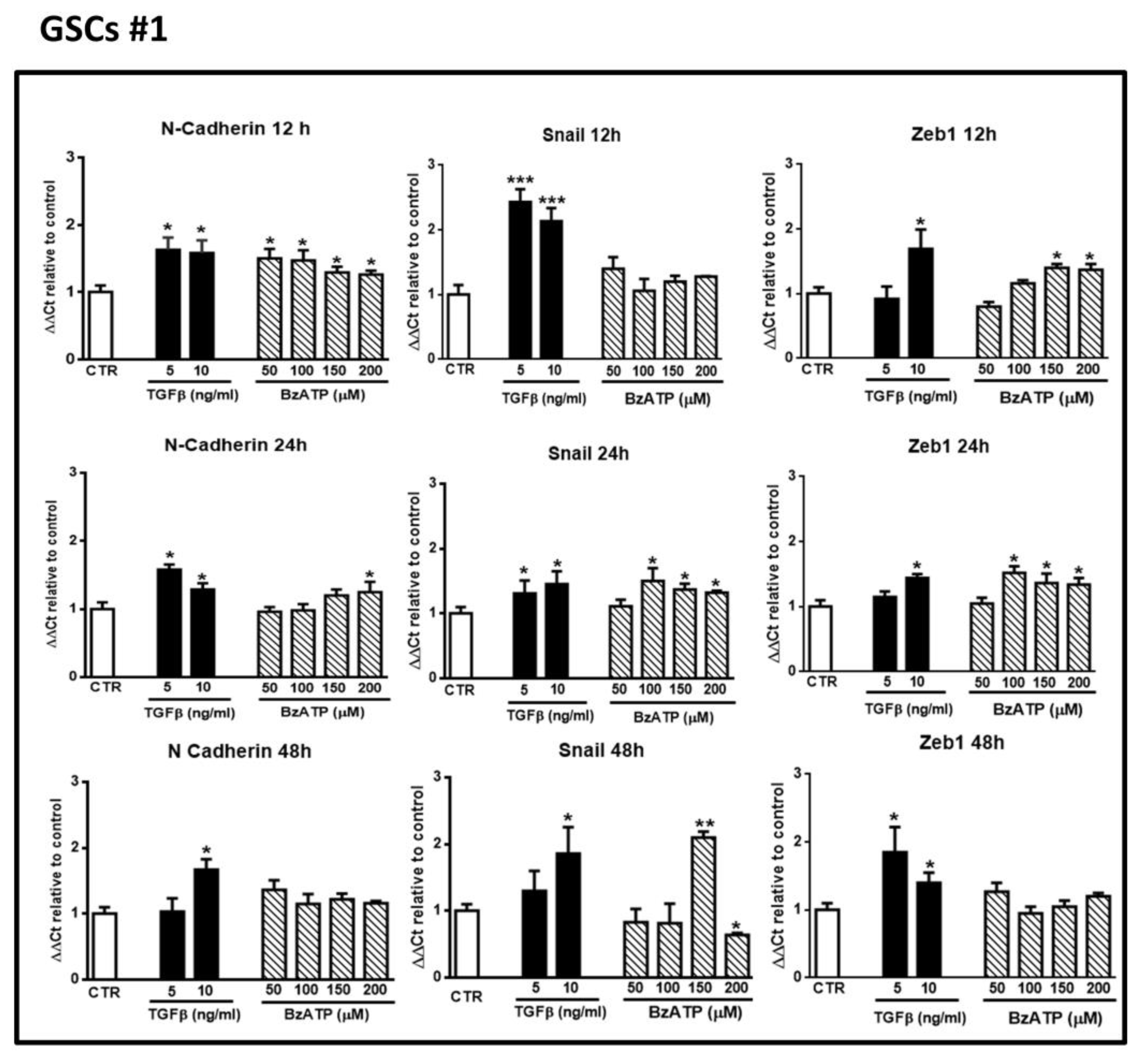 Cells Free Full Text Upregulation Of Epithelial To Mesenchymal Transition Markers And P2x7 Receptors Is Associated To Increased Invasiveness Caused By P2x7 Receptor Stimulation In Human Glioblastoma Stem Cells Html