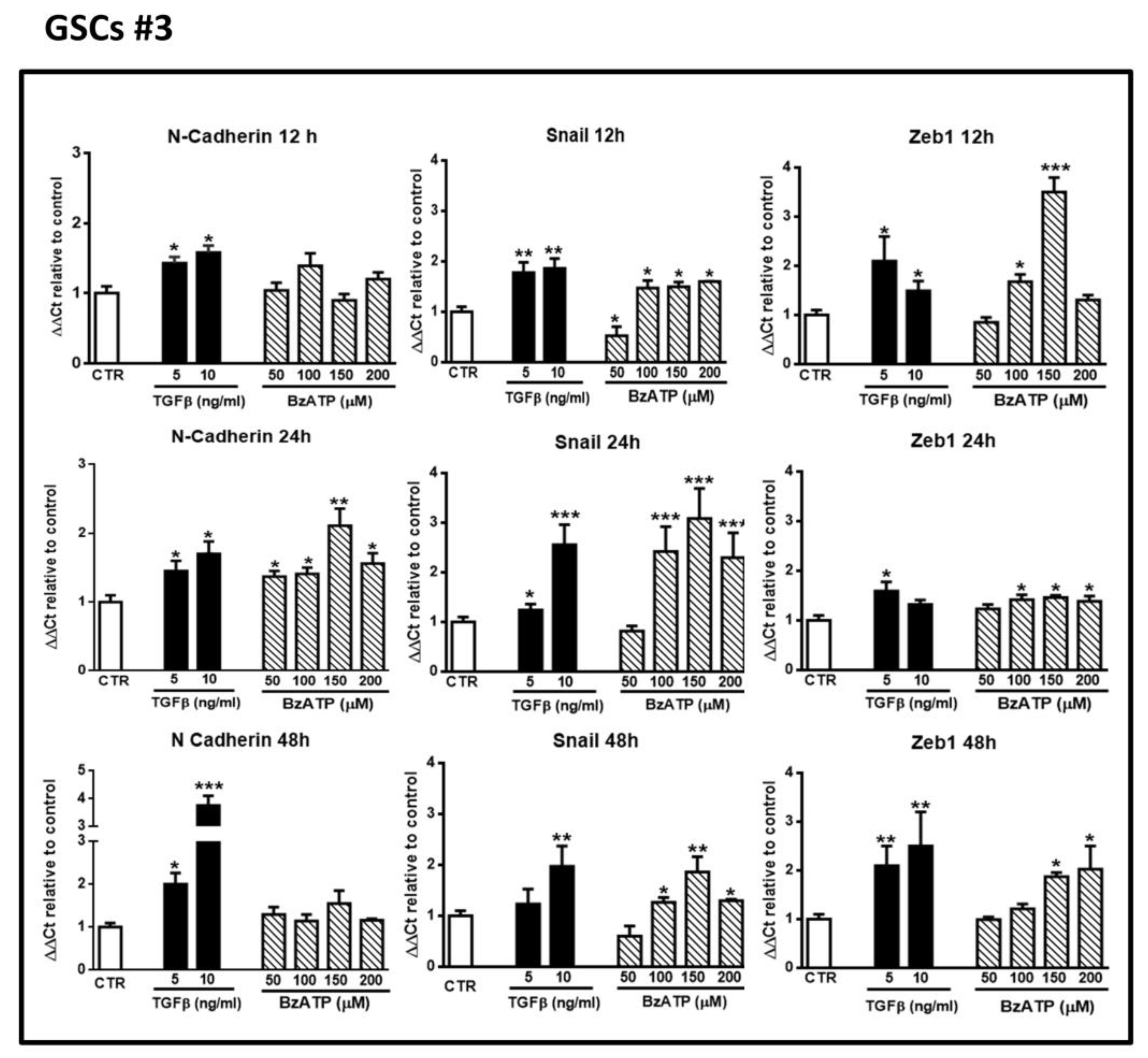 Cells Free Full Text Upregulation Of Epithelial To Mesenchymal Transition Markers And P2x7 Receptors Is Associated To Increased Invasiveness Caused By P2x7 Receptor Stimulation In Human Glioblastoma Stem Cells Html