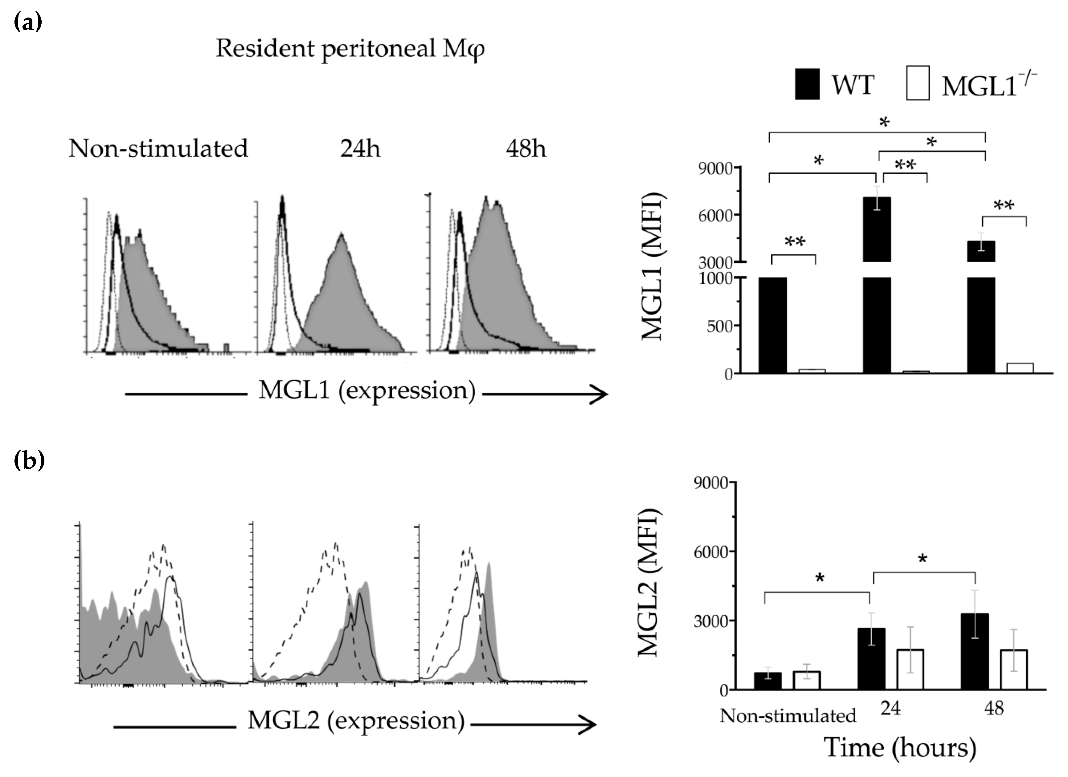 Cells | Free Full-Text | MGL1 Receptor Plays a Key Role in the Control of  T. cruzi Infection by Increasing Macrophage Activation through Modulation  of ERK1/2, c-Jun, NF-κB and NLRP3 Pathways