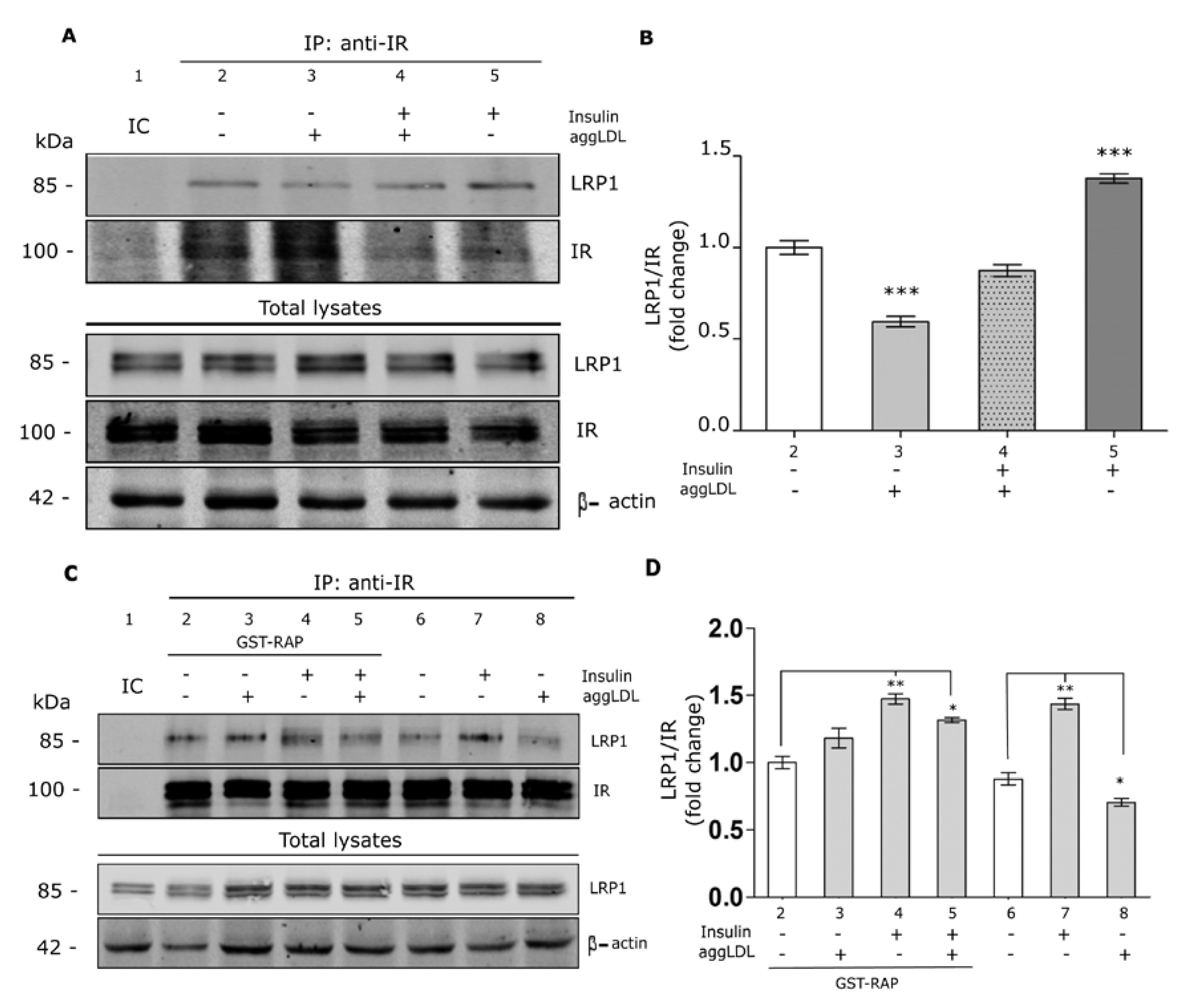 Cells 09 00182 g003 Cells 09 00182 g003