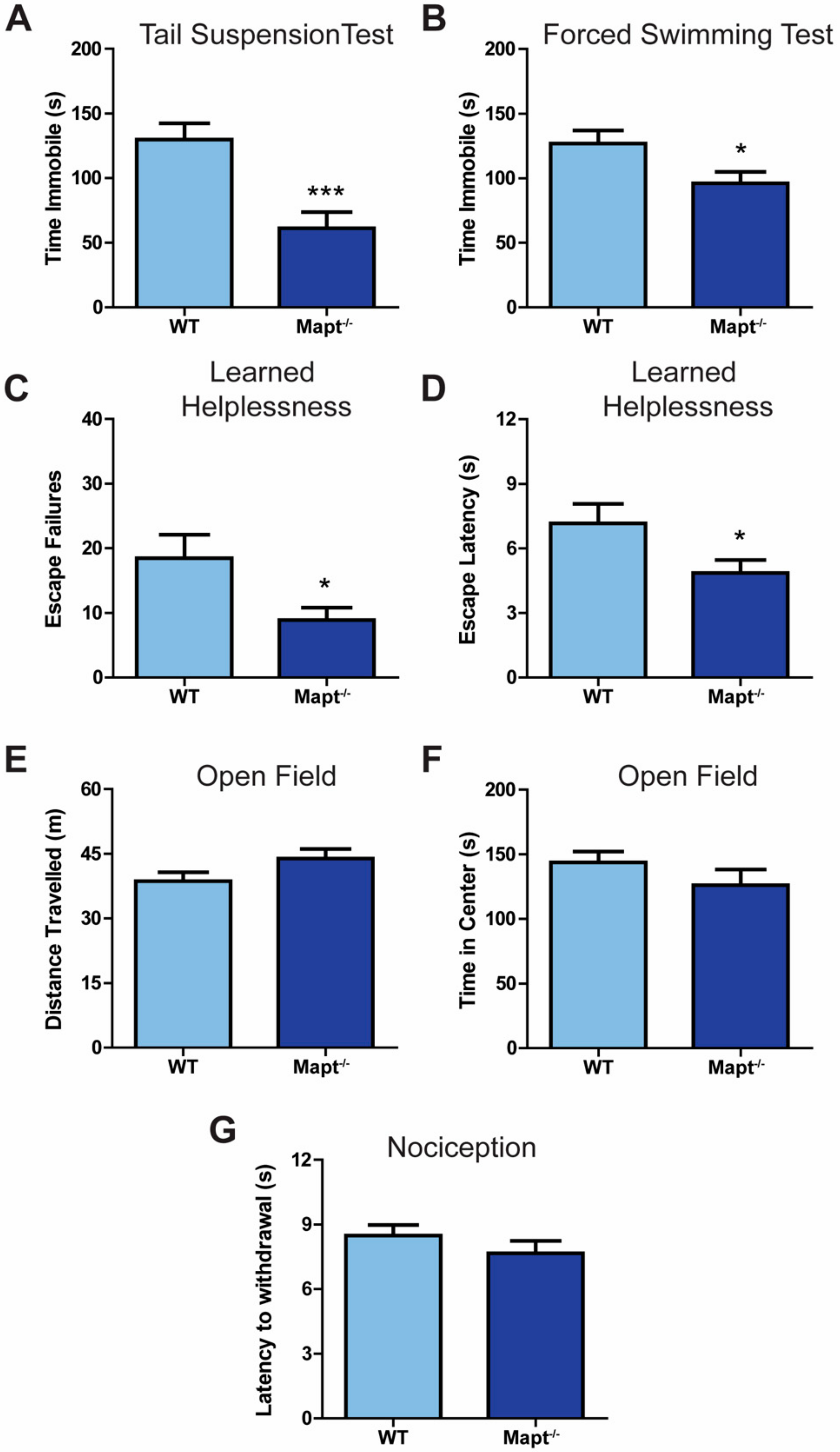 Cells Free Full Text Hippocampal Neurogenesis Is Enhanced In Adult Tau Deficient Mice Html