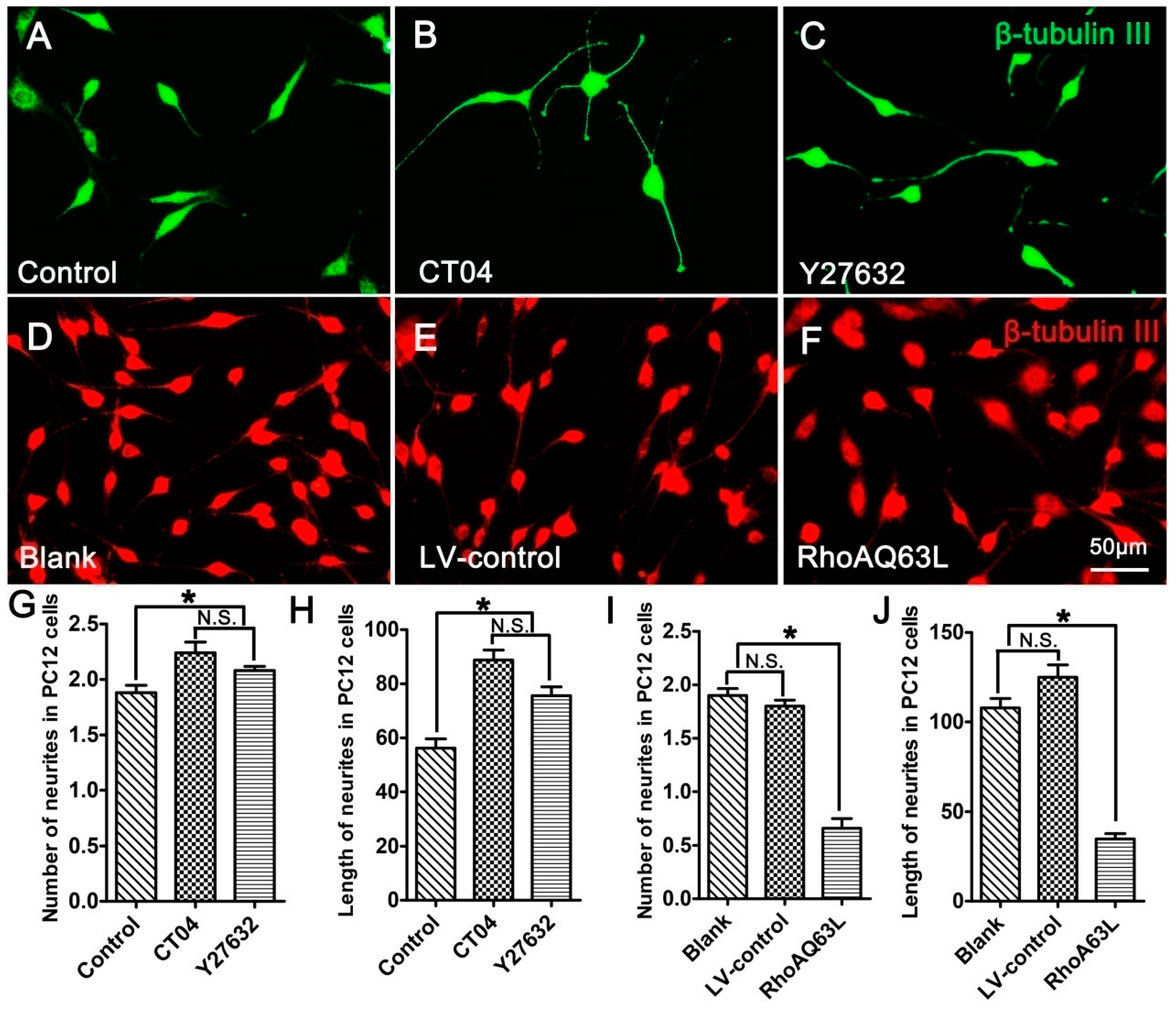 Cells 09 00230 g002 Cells 09 00230 g002