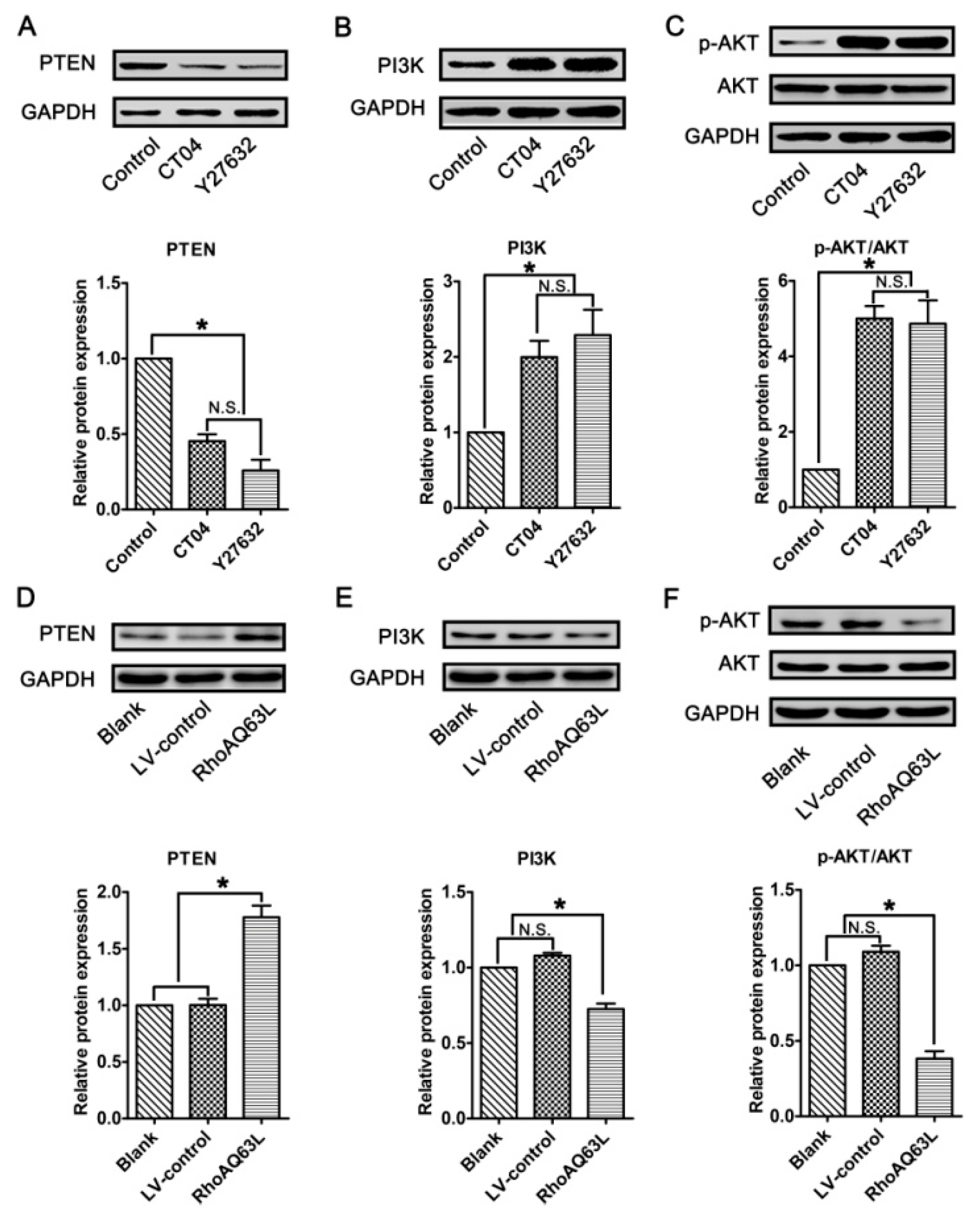 Cells 09 00230 g008 Cells 09 00230 g008