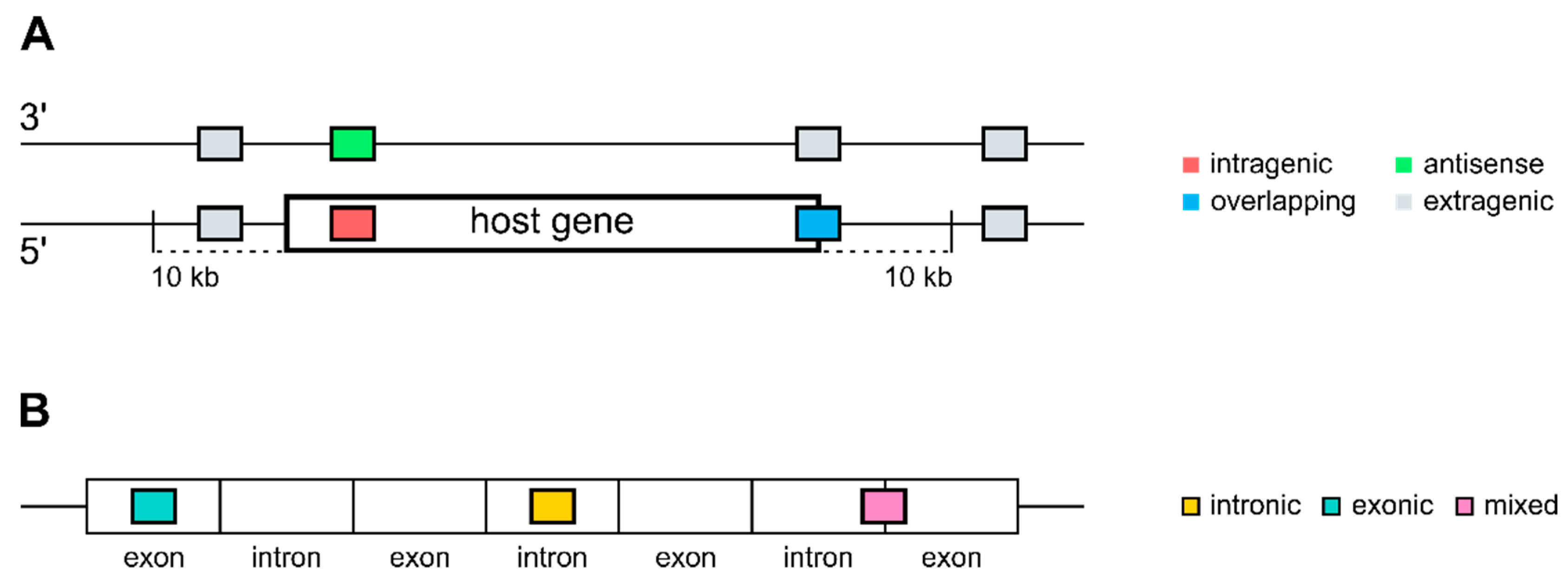 Cells 09 00232 g001 Cells 09 00232 g001