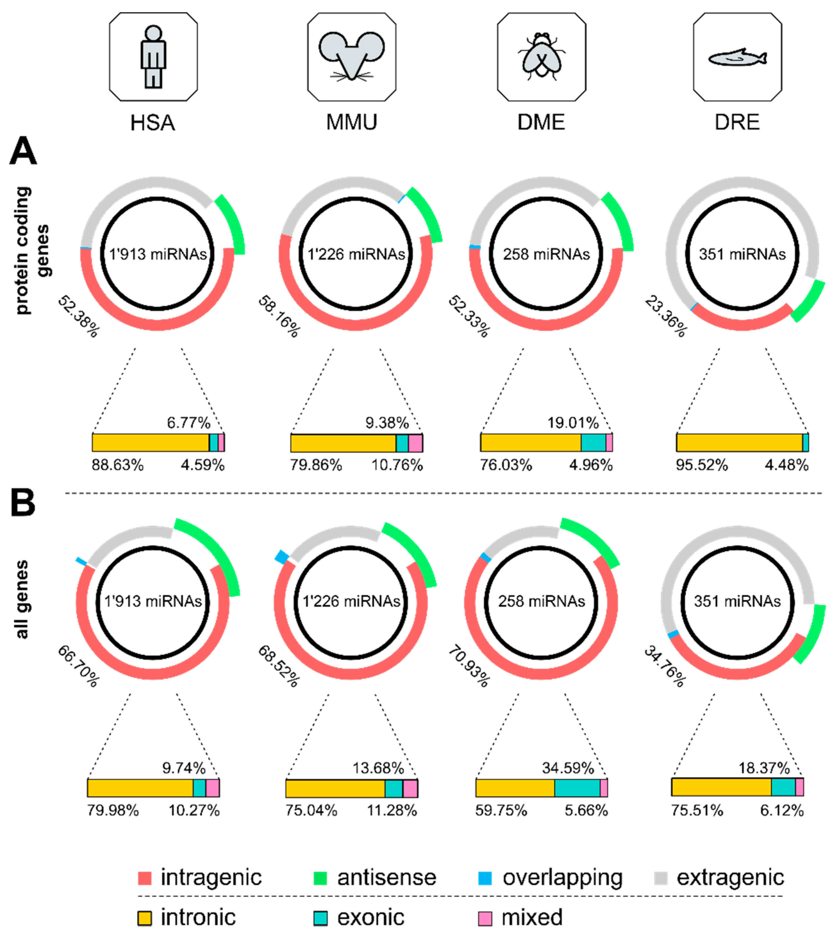 Cells 09 00232 g002 Cells 09 00232 g002