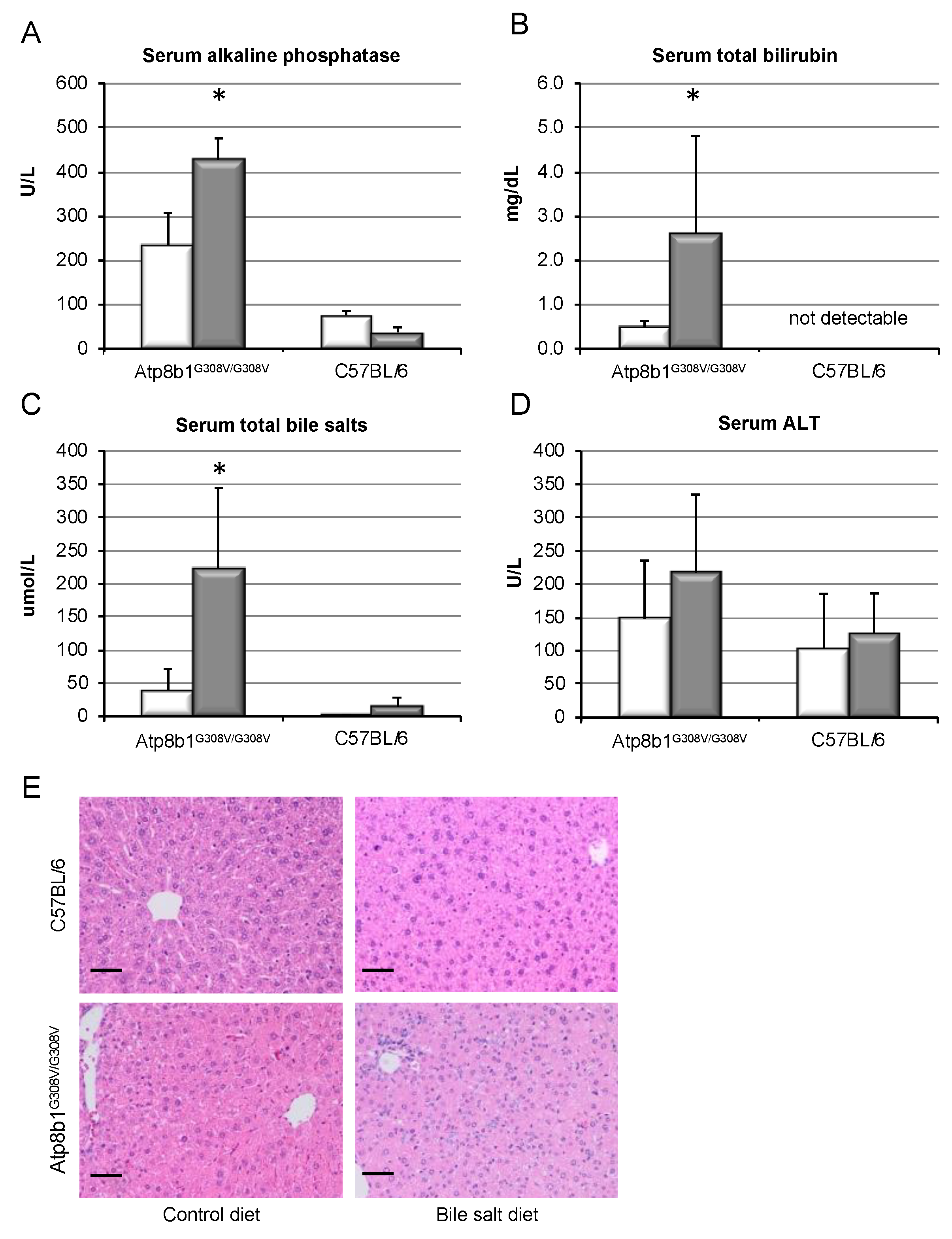 Cells 09 00281 g001 Cells 09 00281 g001