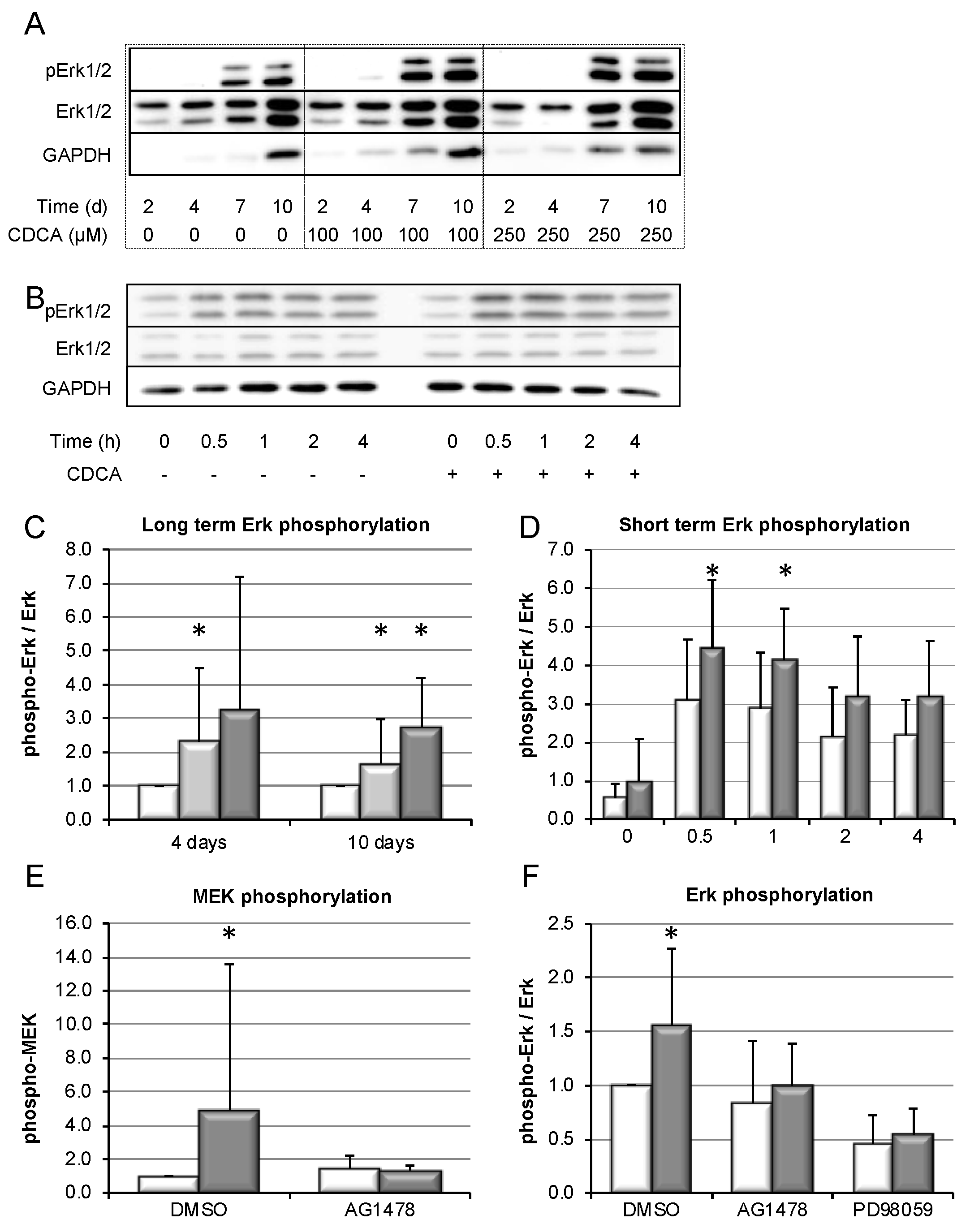 Cells 09 00281 g005 Cells 09 00281 g005
