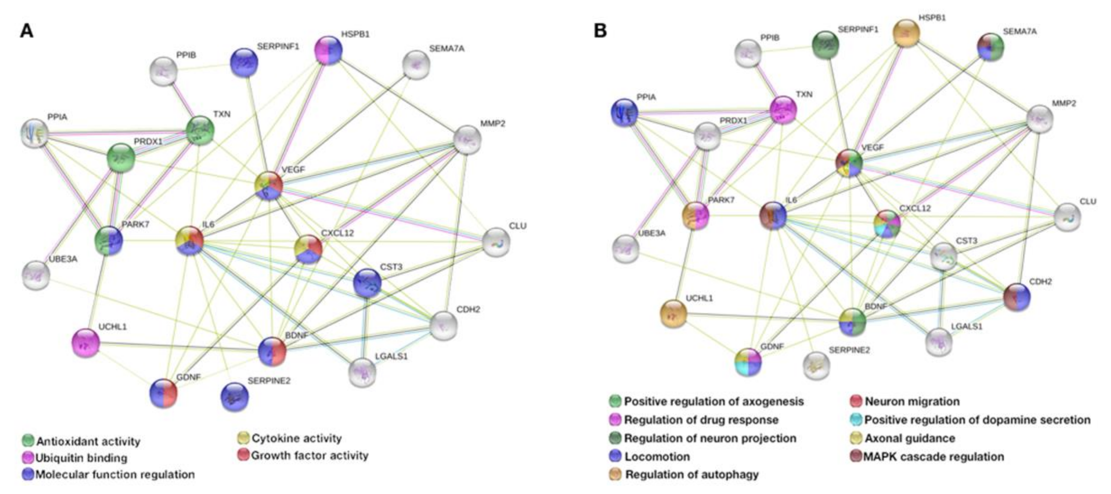 Cells 09 00315 g005 Cells 09 00315 g005