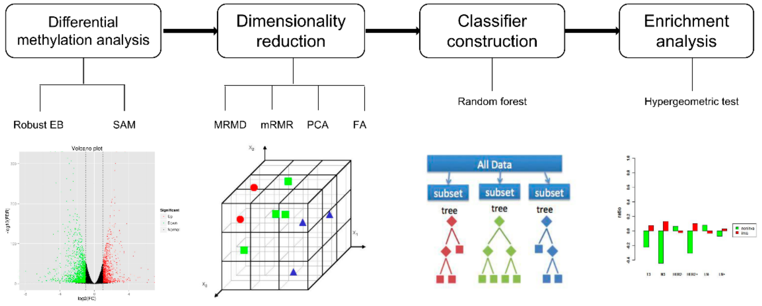 Cells 09 00326 g001 Cells 09 00326 g001