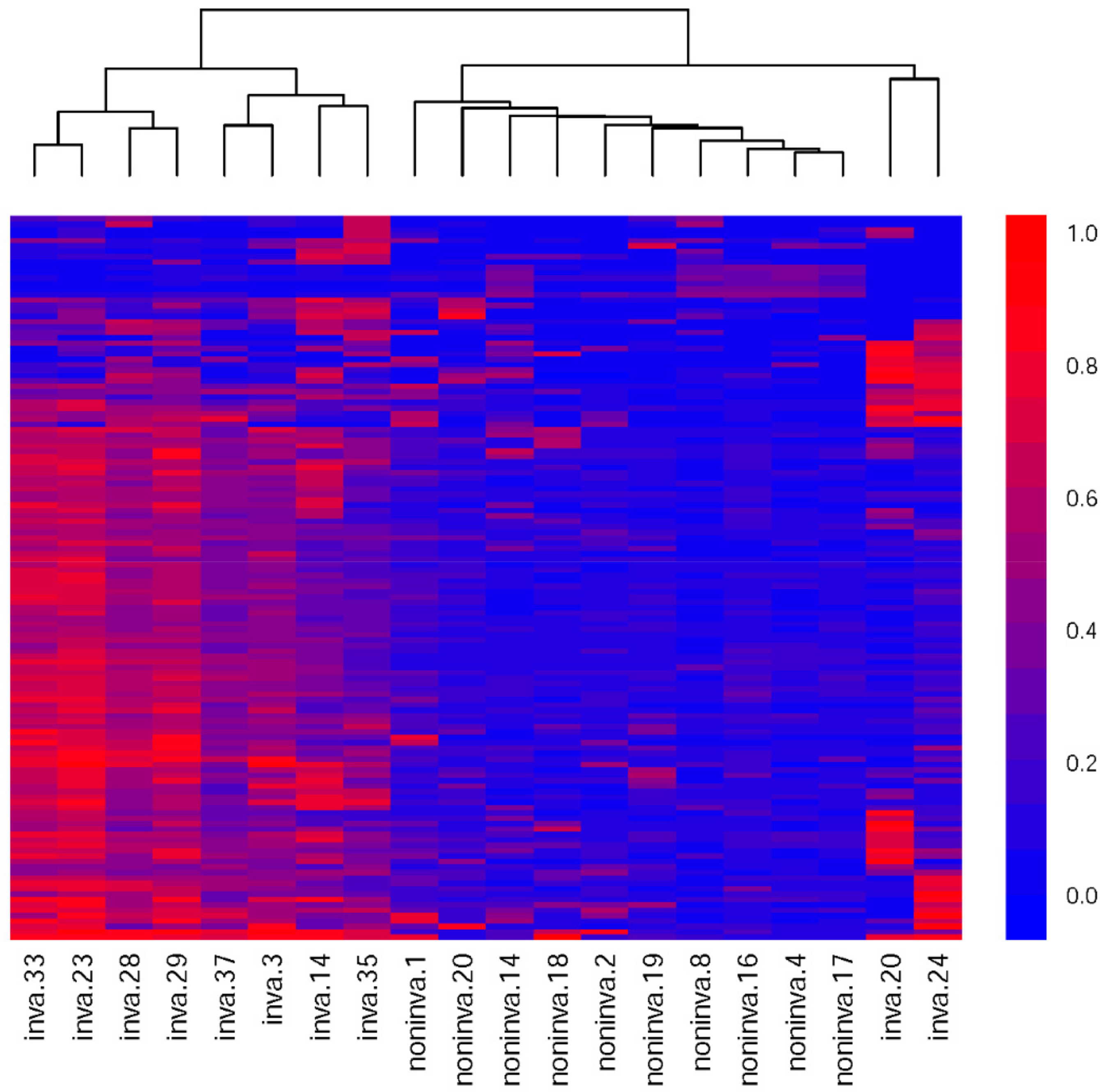 Cells 09 00326 g003 Cells 09 00326 g003
