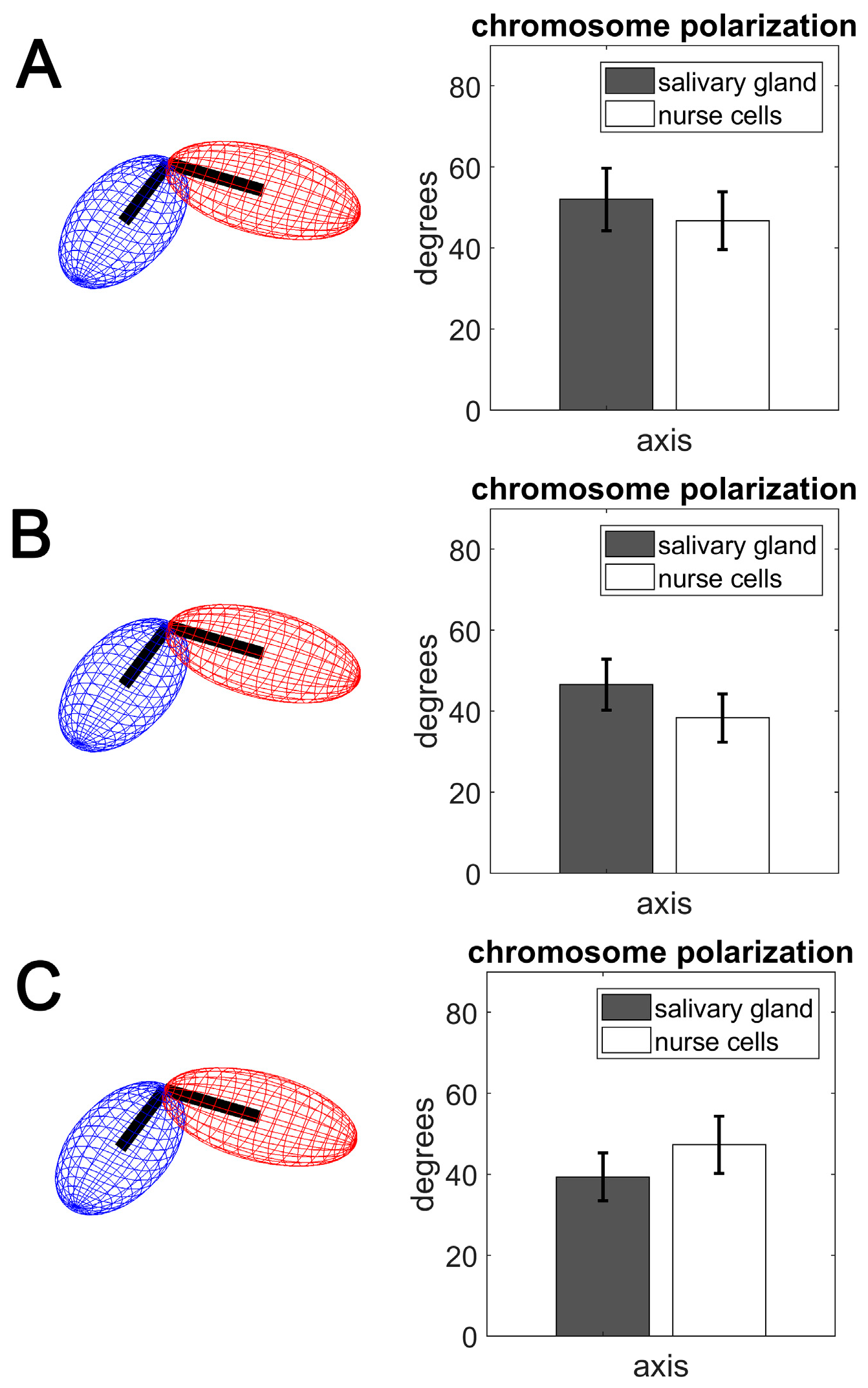 Cells 09 00339 g005