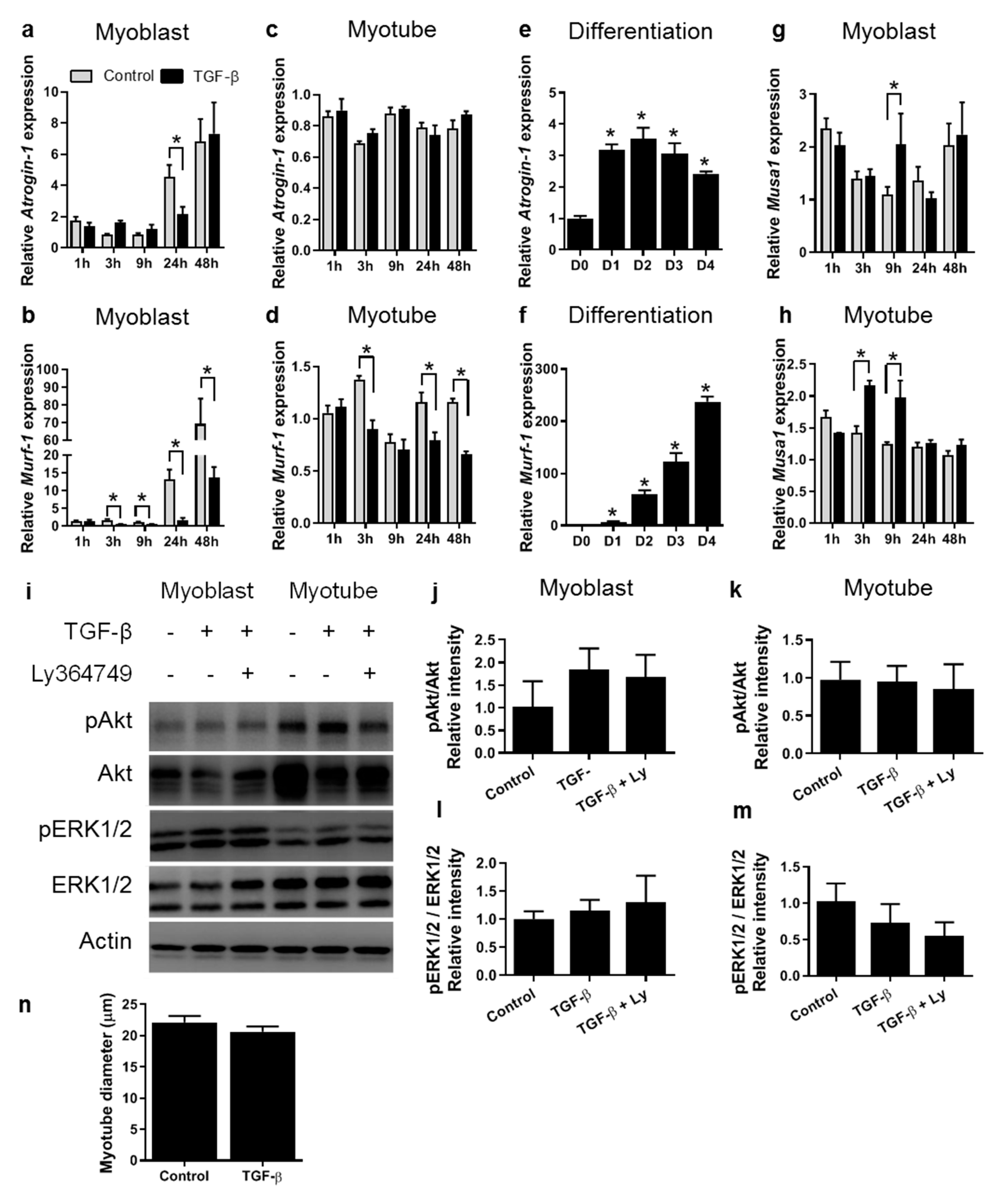 Cells 09 00375 g003 Cells 09 00375 g003