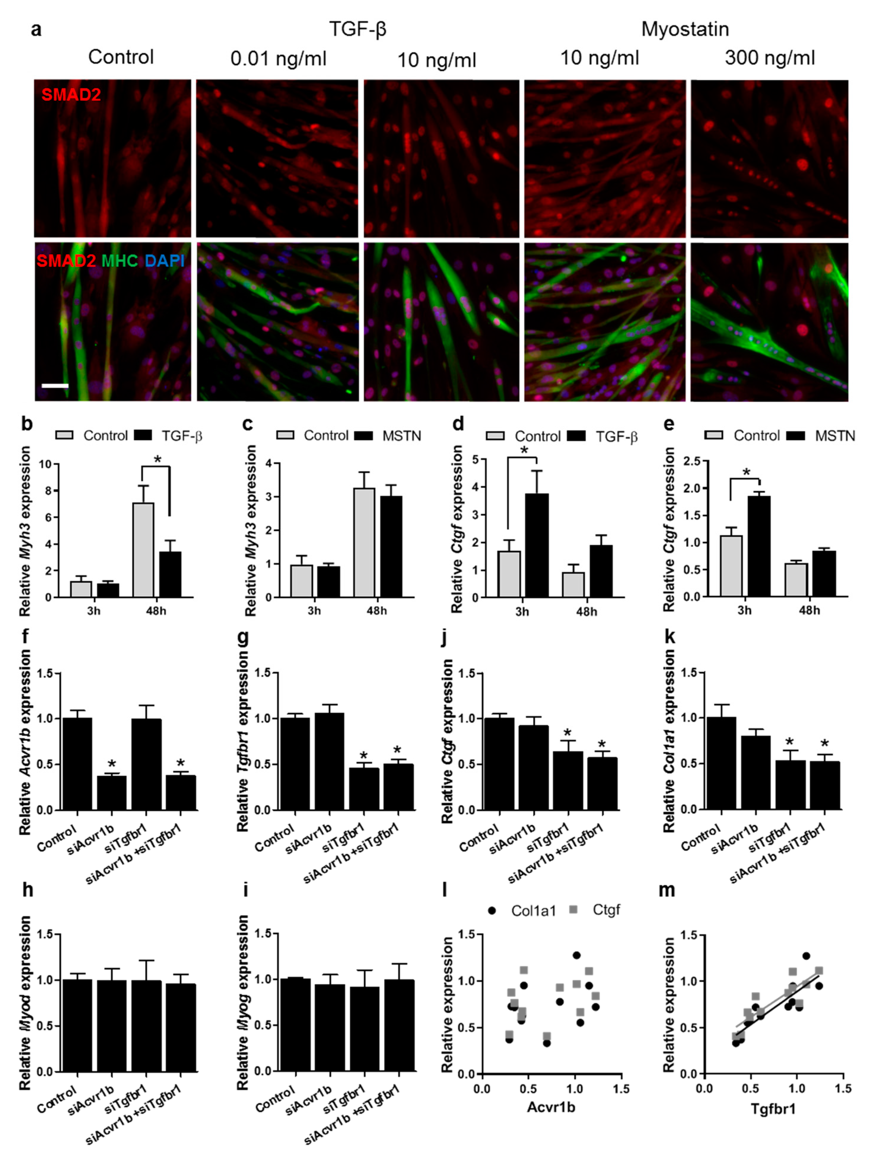 Cells 09 00375 g005 Cells 09 00375 g005