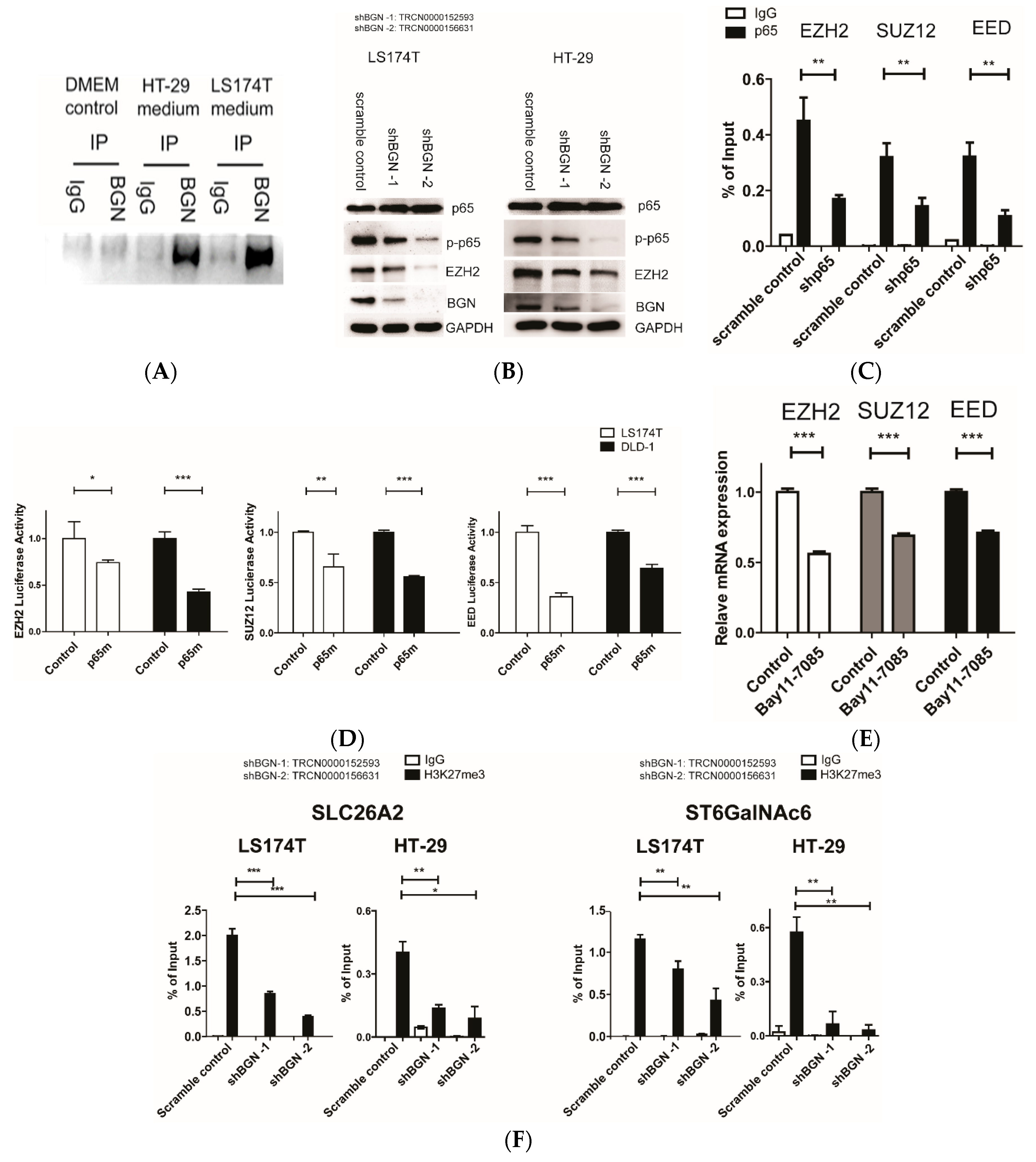 Cells 09 00397 g003 Cells 09 00397 g003