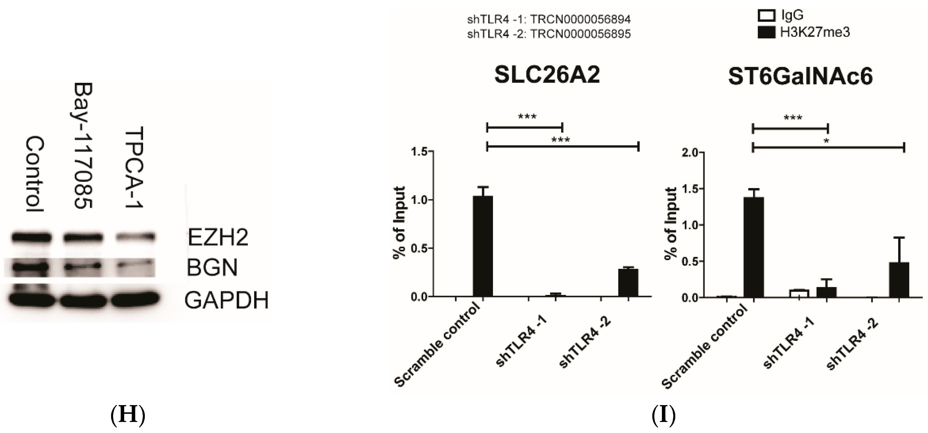 Cells 09 00397 g004b Cells 09 00397 g004b