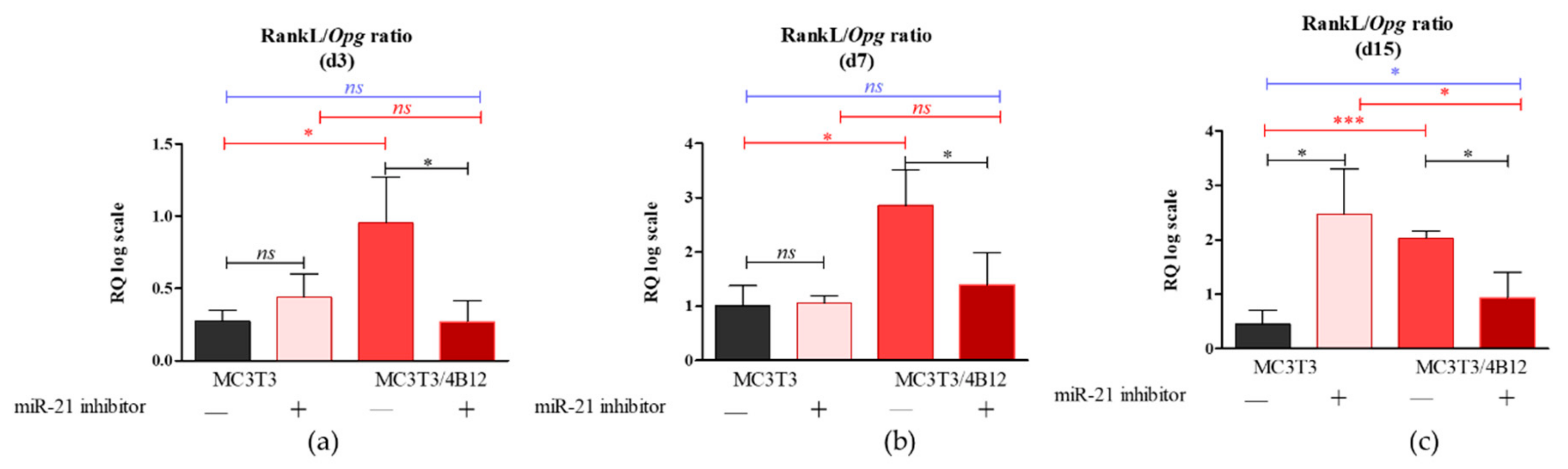 Cells 09 00479 g002 Cells 09 00479 g002