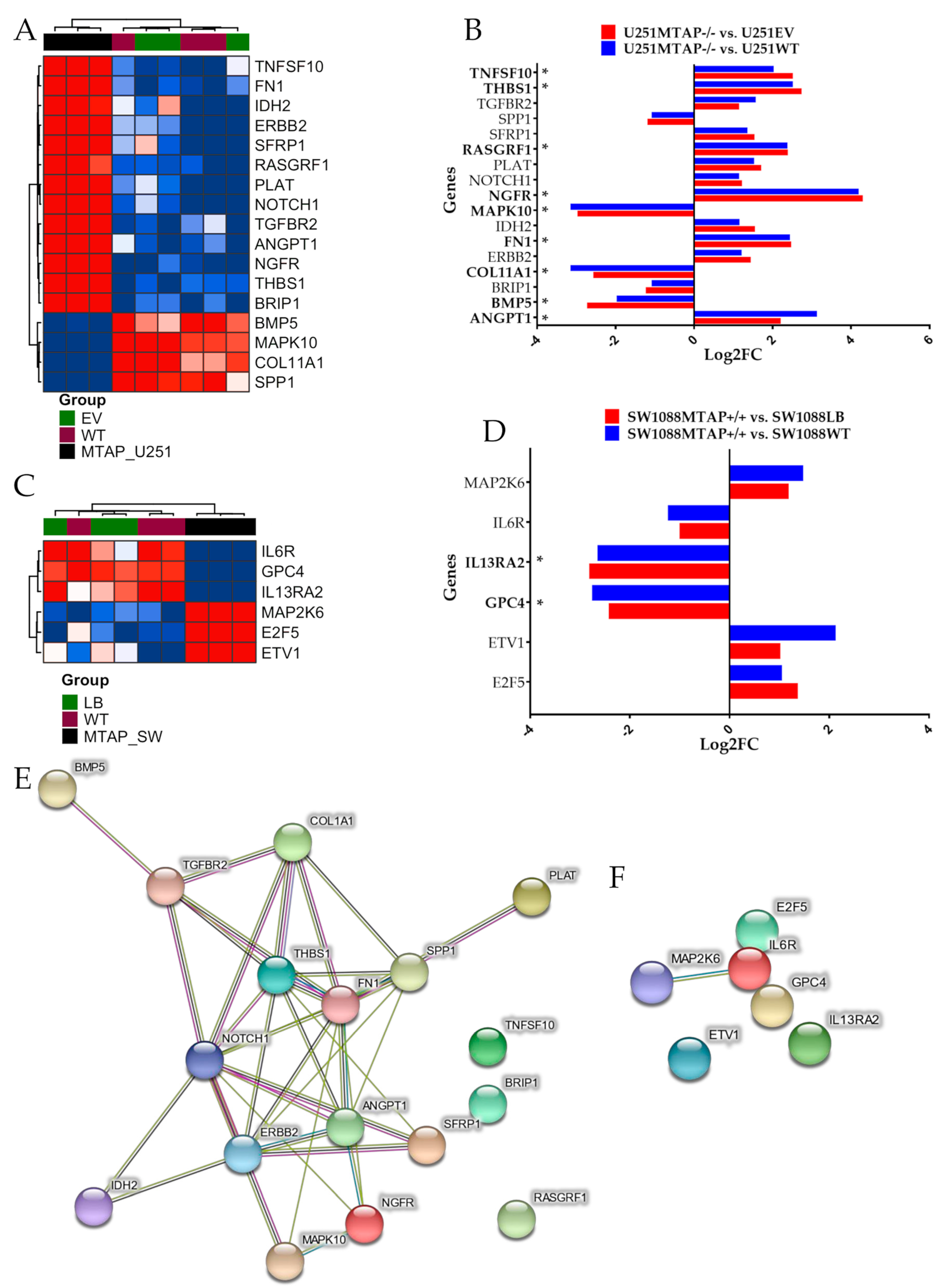 Cells 09 00492 g005 Cells 09 00492 g005