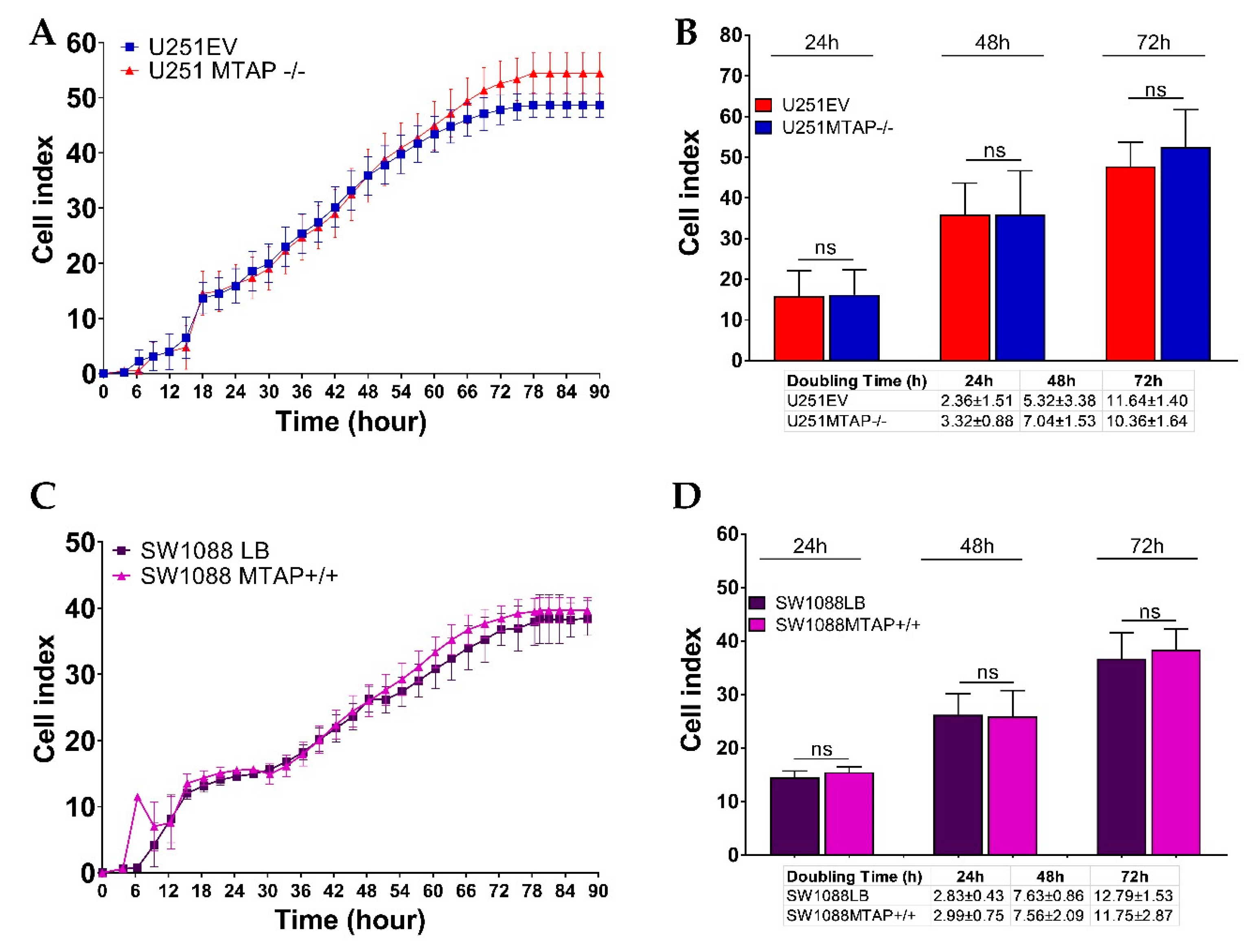 Cells 09 00492 g006 Cells 09 00492 g006