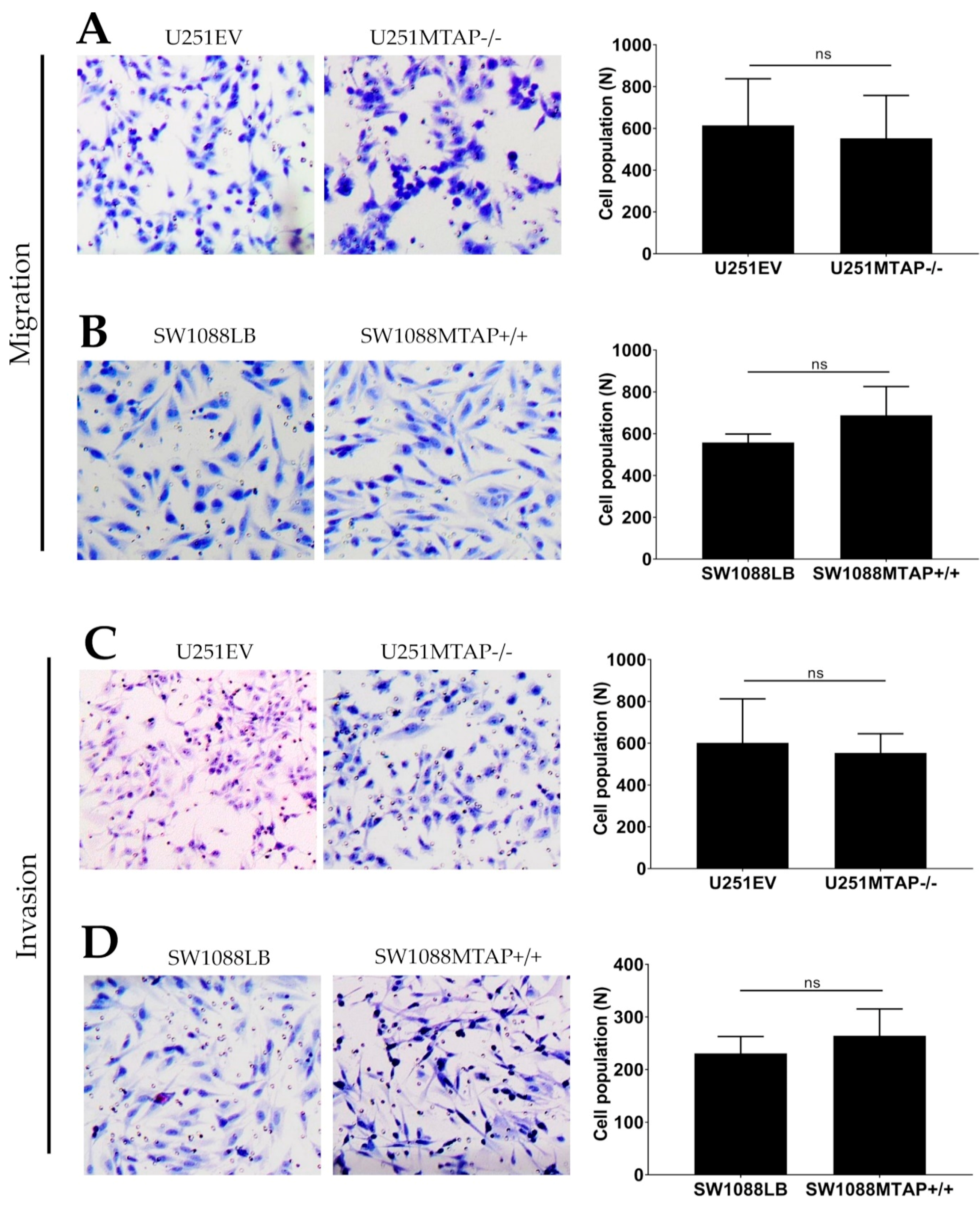 Cells 09 00492 g007 Cells 09 00492 g007