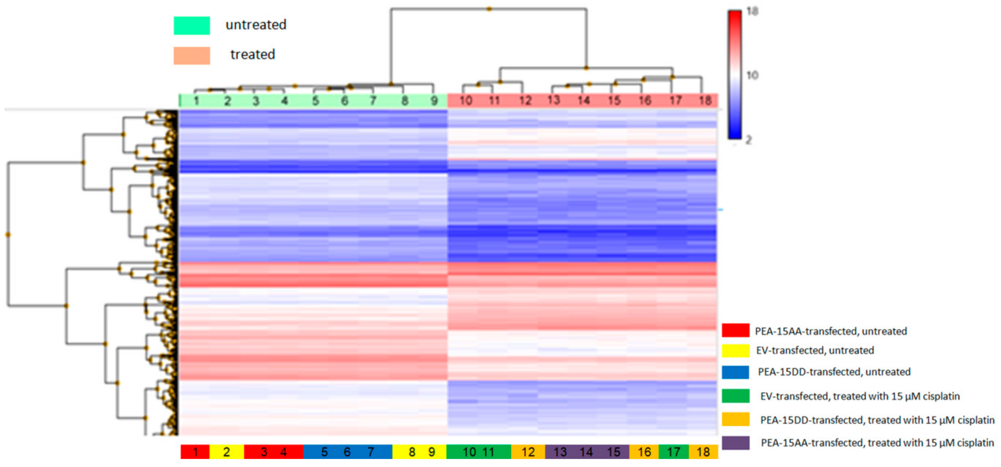 Cells 09 00515 g003 Cells 09 00515 g003