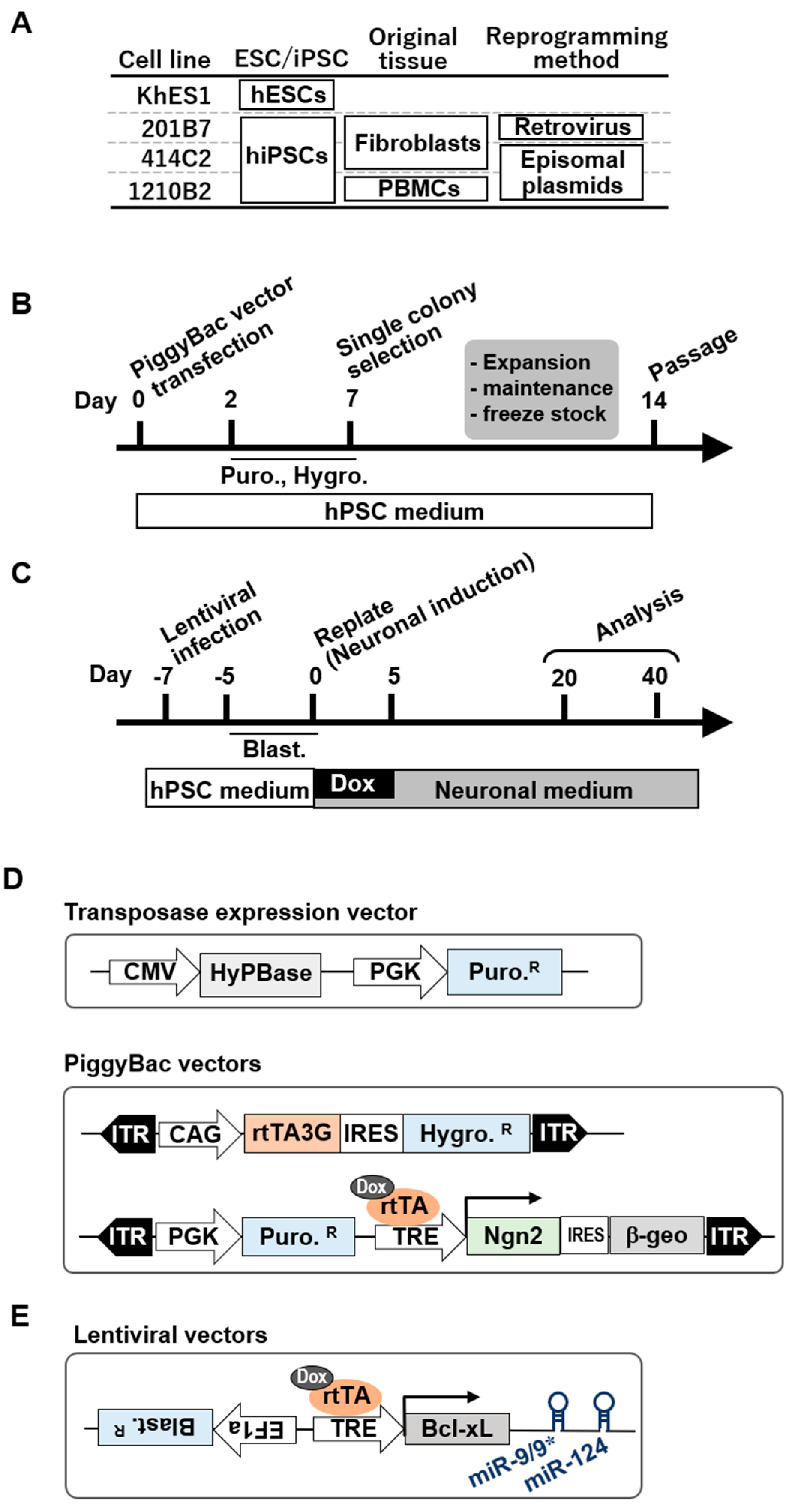 Cells 09 00532 g002a Cells 09 00532 g002a
