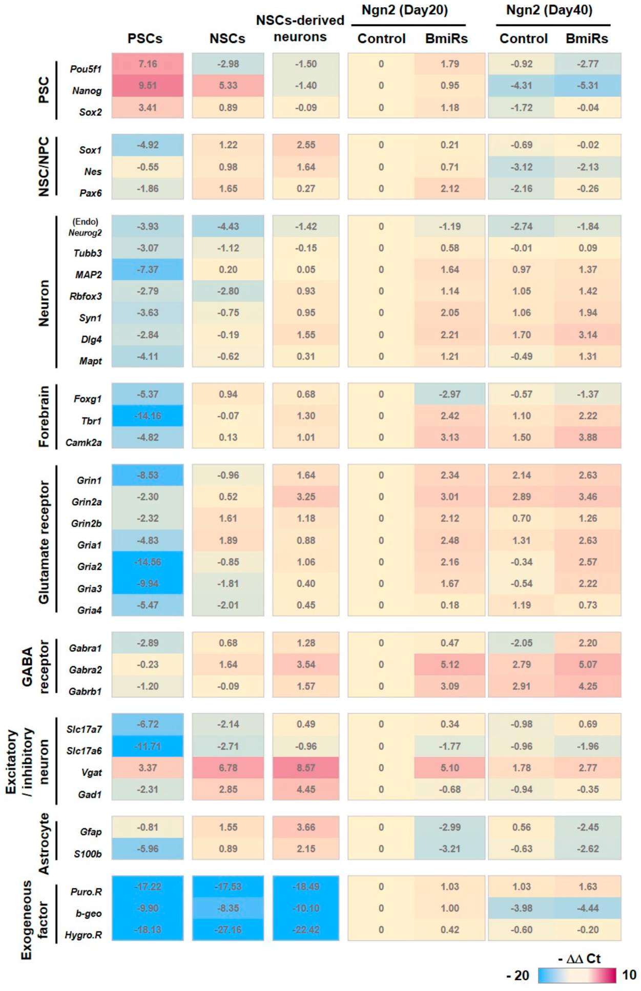 Cells 09 00532 g003 Cells 09 00532 g003