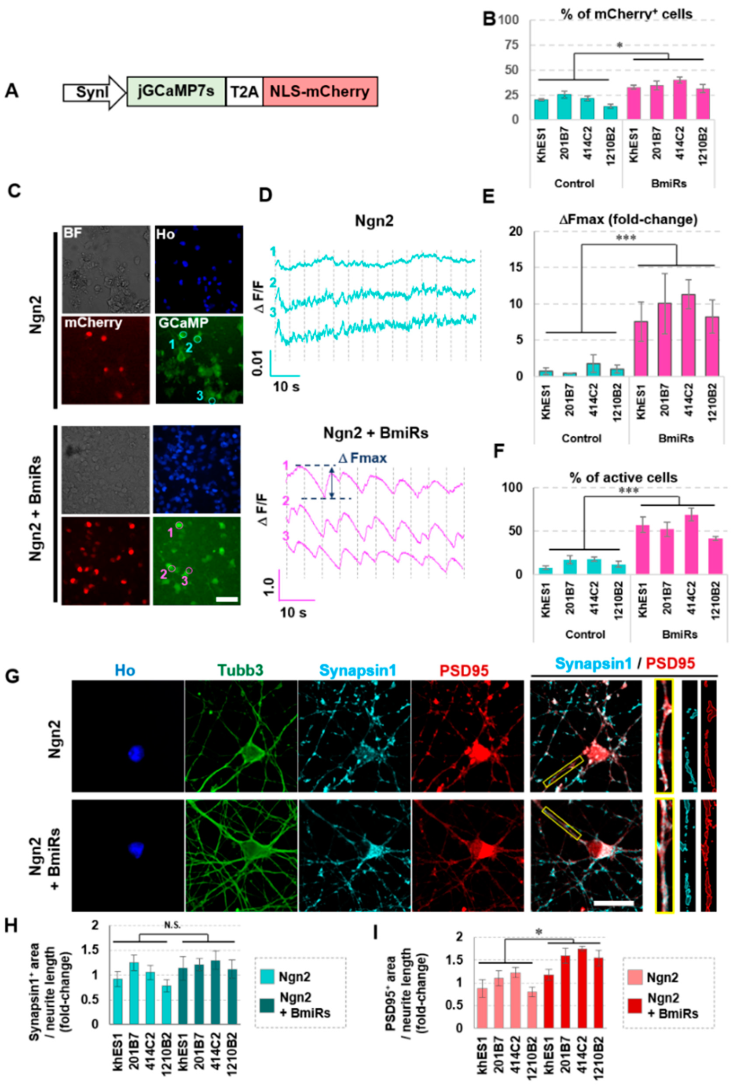 Cells 09 00532 g004 Cells 09 00532 g004