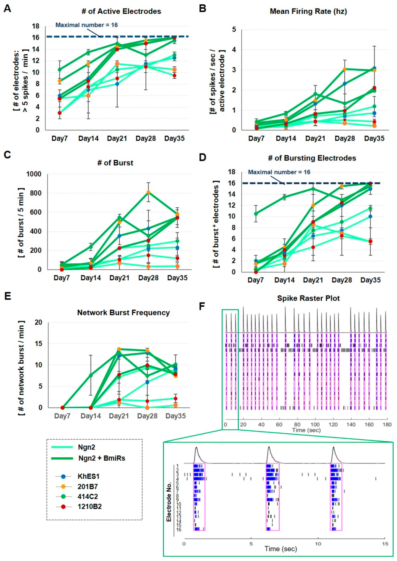 Cells 09 00532 g005 Cells 09 00532 g005