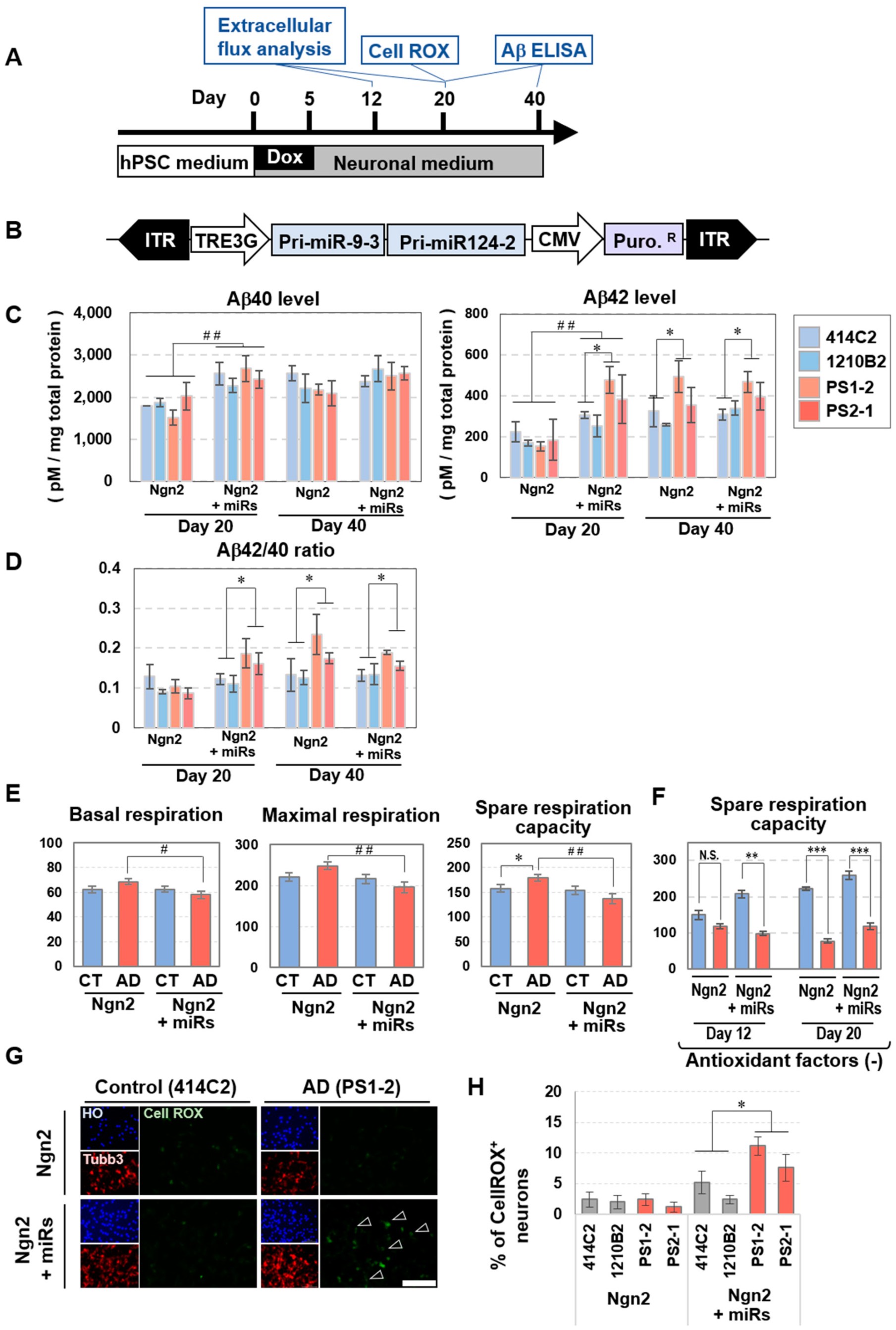 Cells 09 00532 g006 Cells 09 00532 g006