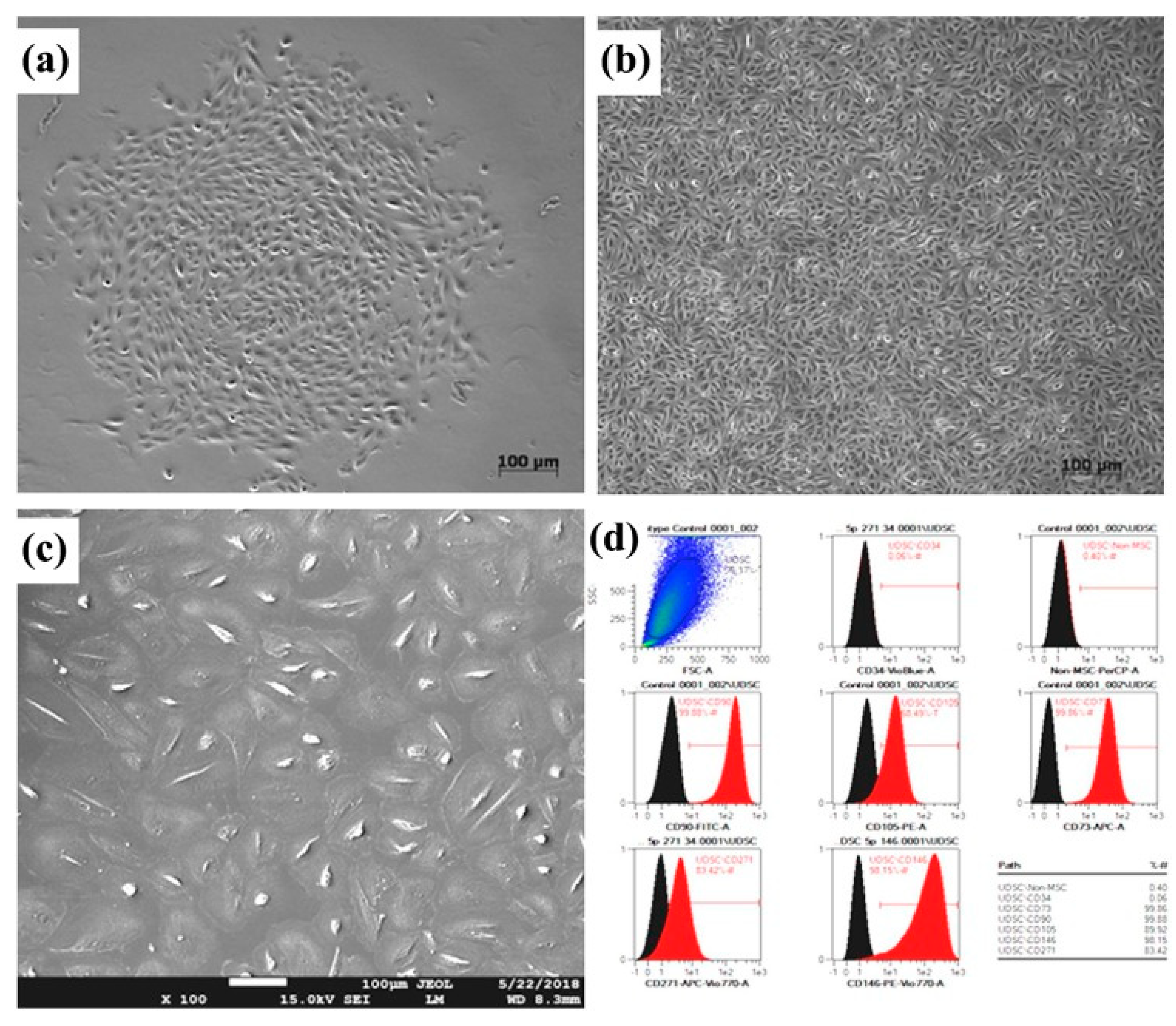 Cells 09 00538 g001 Cells 09 00538 g001