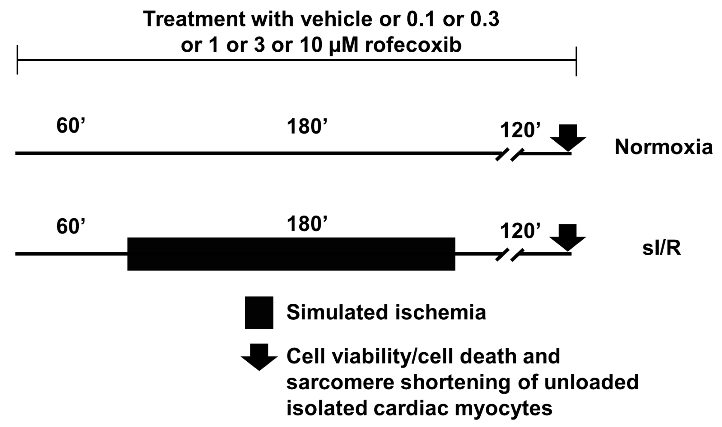 Cells 09 00551 g003 Cells 09 00551 g003