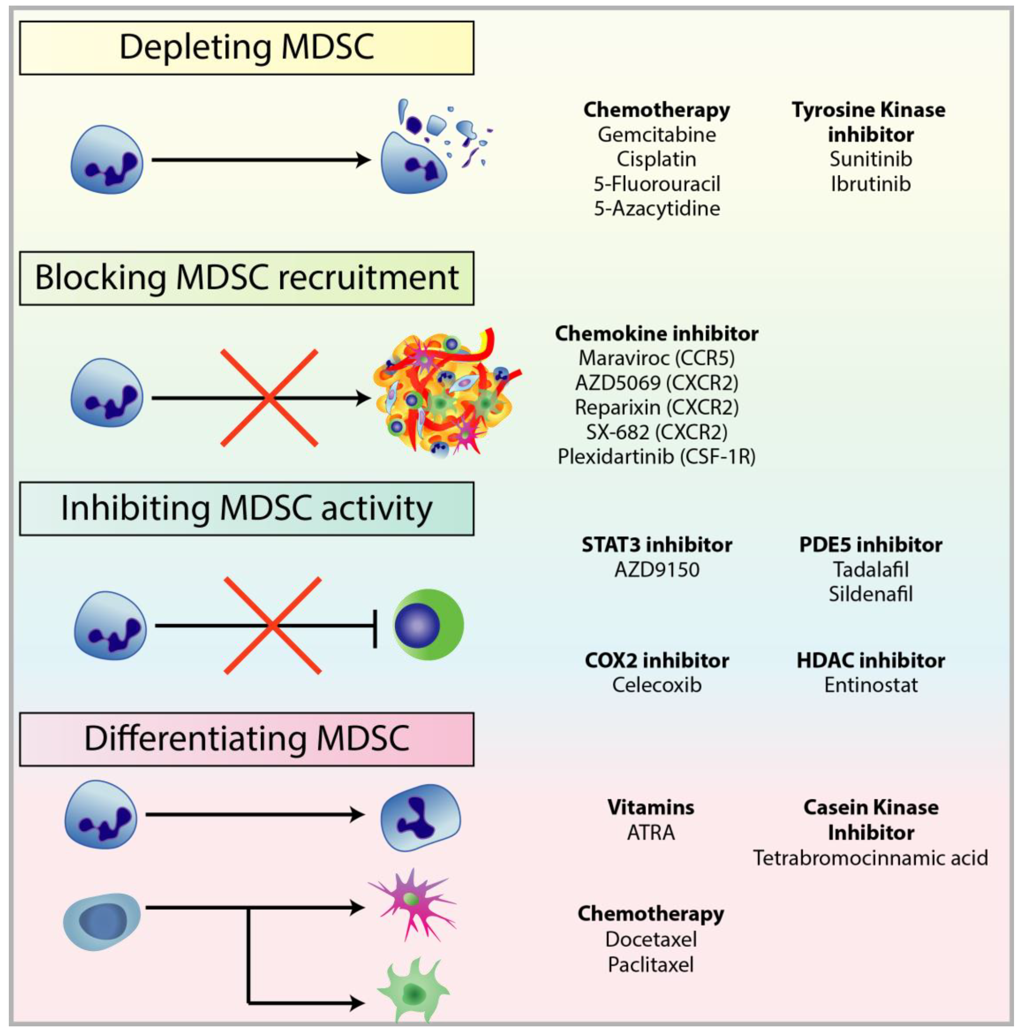 Cells 09 00561 g006 Cells 09 00561 g006