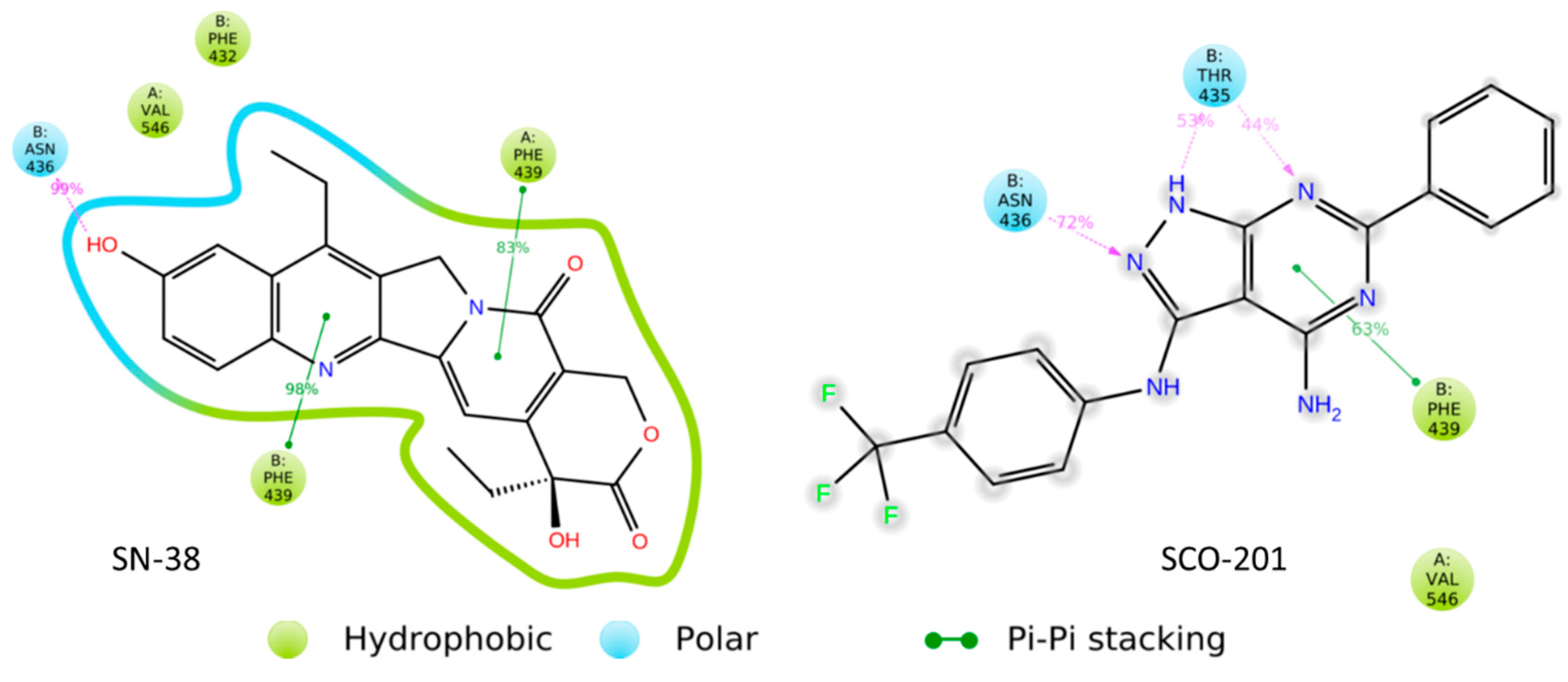 Cells Free Full Text The Pyrazolo 3 4 D Pyrimidine Derivative Sco 201 Reverses Multidrug Resistance Mediated By Abcg2 Bcrp Html