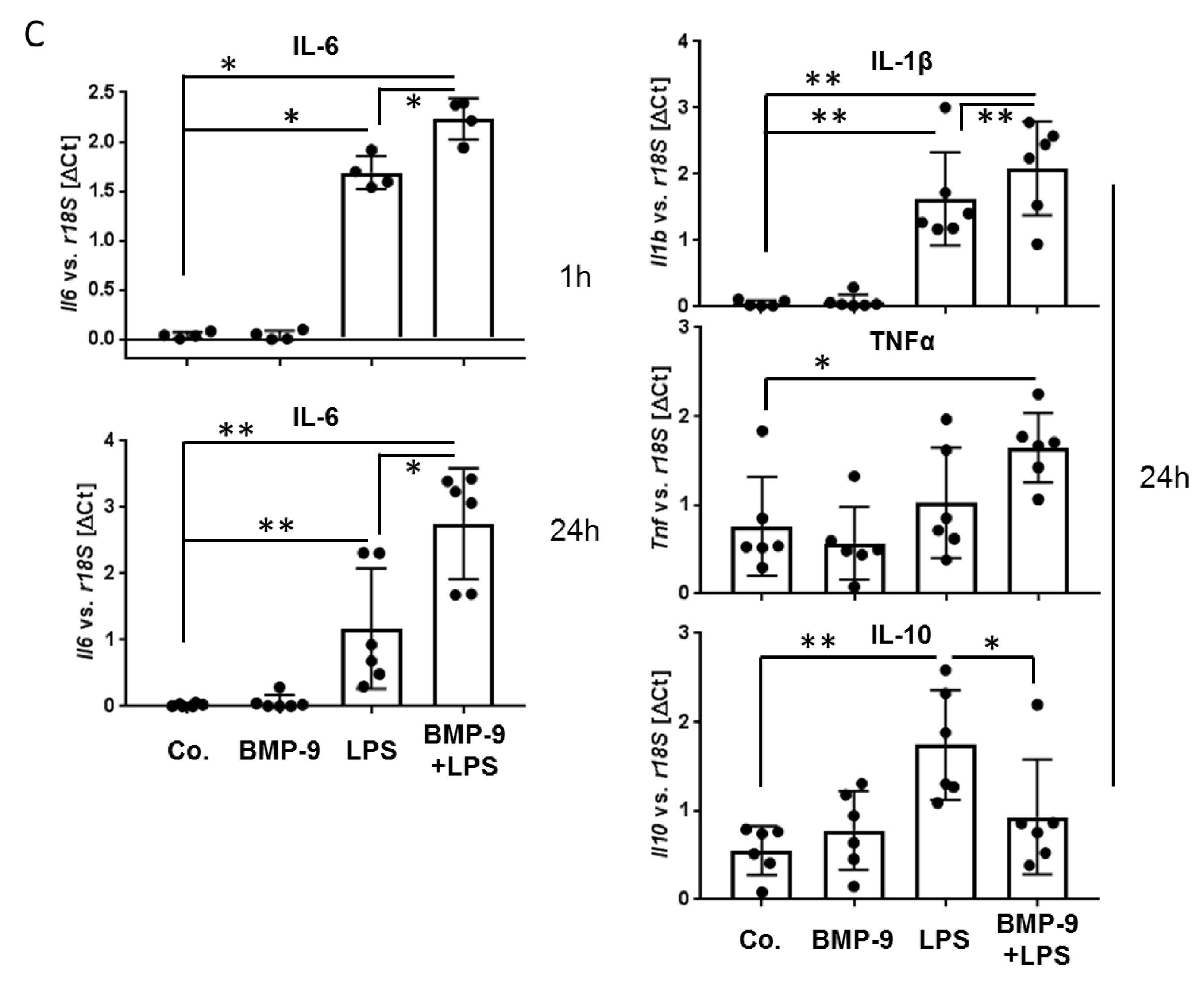 Cells 09 00617 g005b Cells 09 00617 g005b